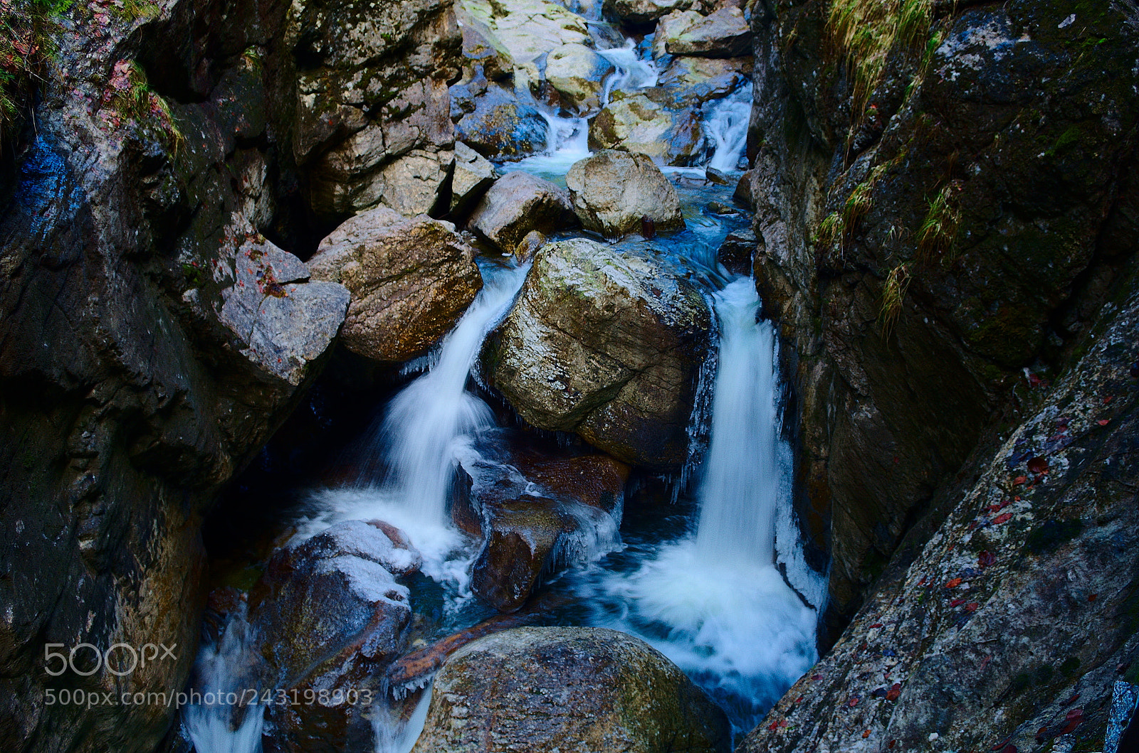 Nikon D5100 sample photo. Untitled photography