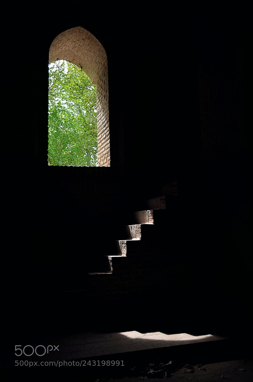 Nikon D90 sample photo. 4.jpg photography