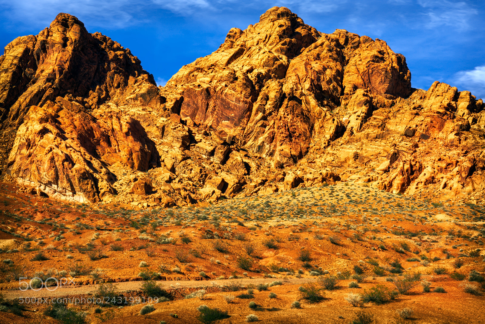 Nikon D810 sample photo. Valley of fire state photography