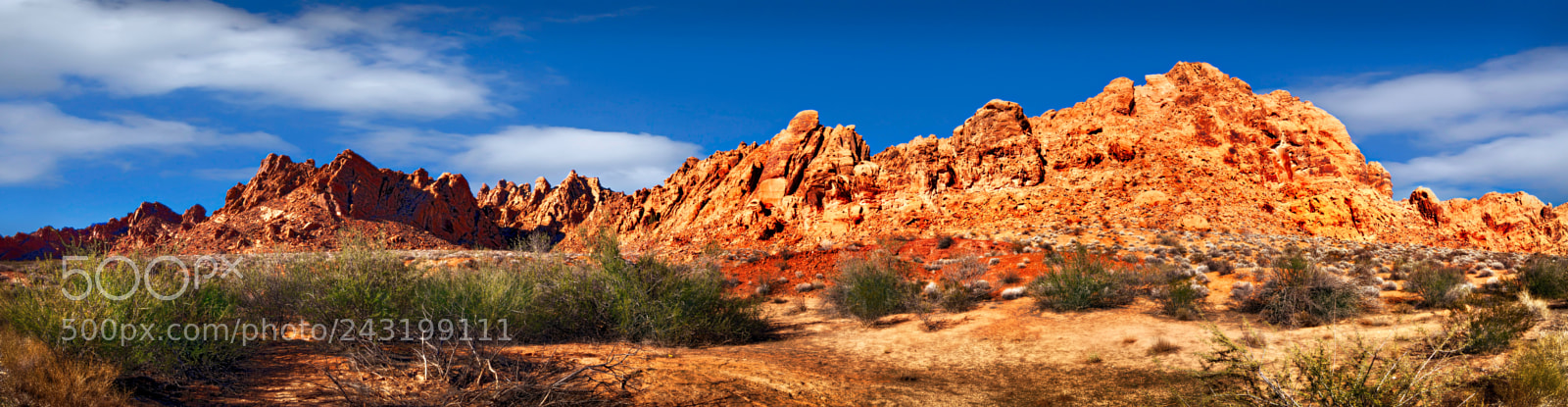 Nikon D810 sample photo. Valley of fire state photography