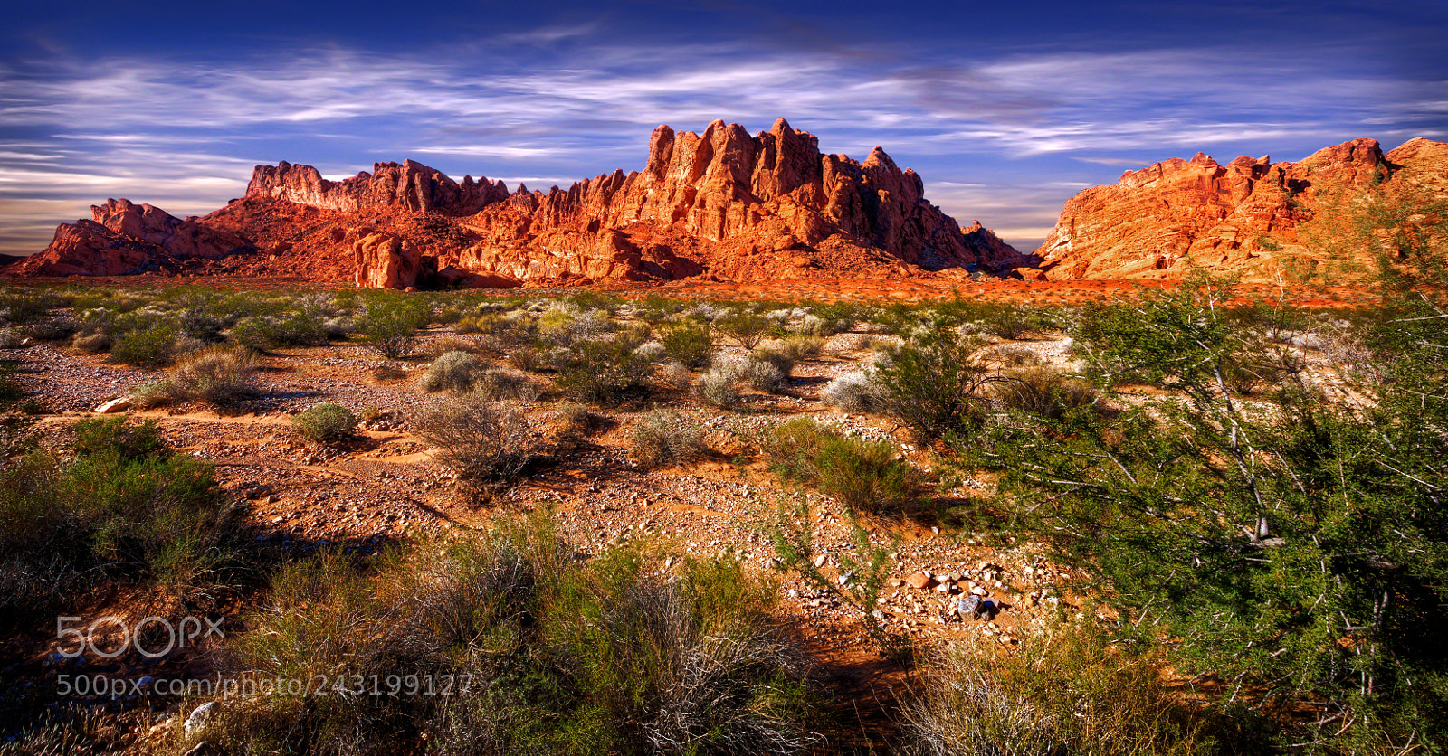 Nikon D810 sample photo. Valley of fire state photography