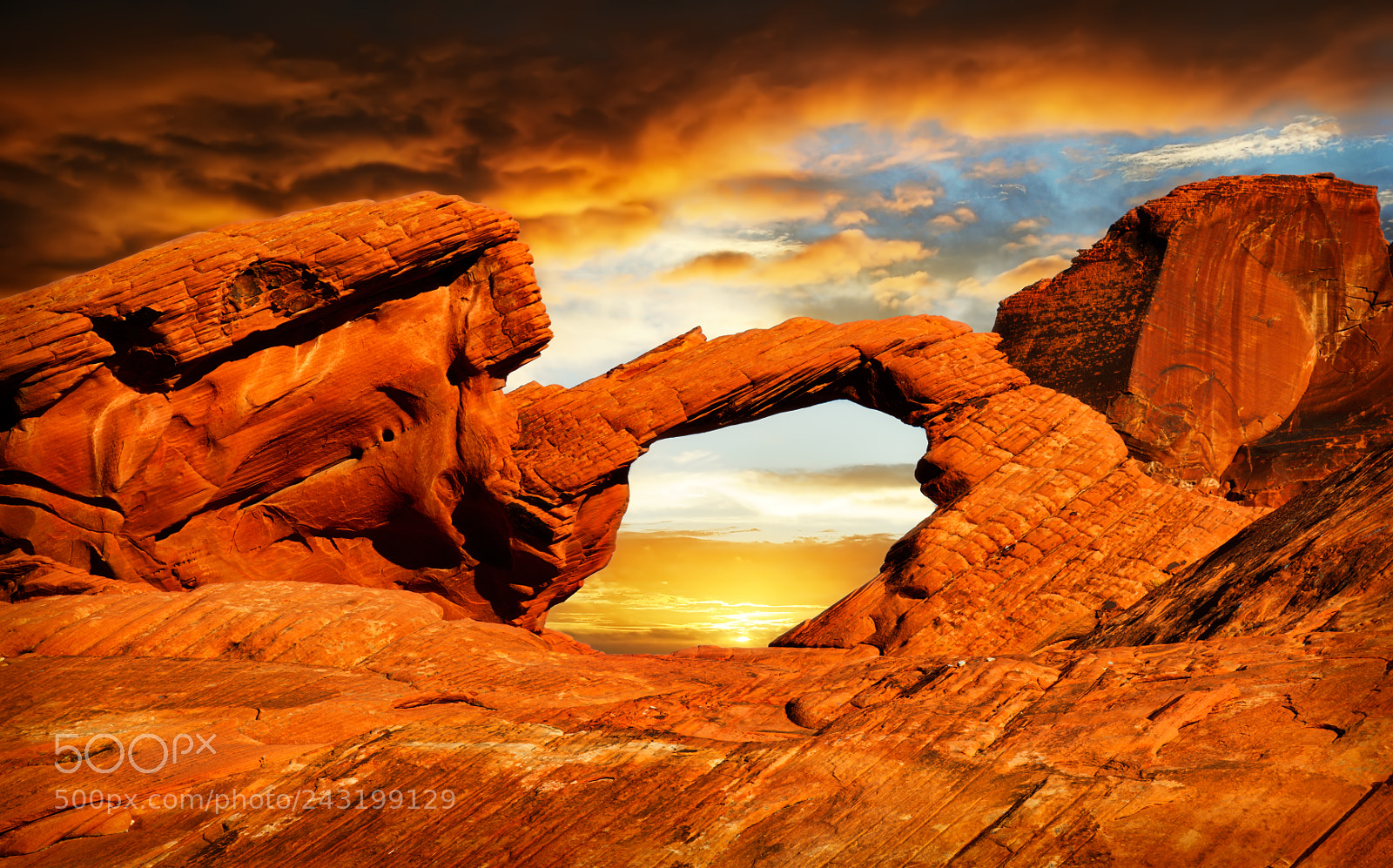 Nikon D810 sample photo. Valley of fire state photography