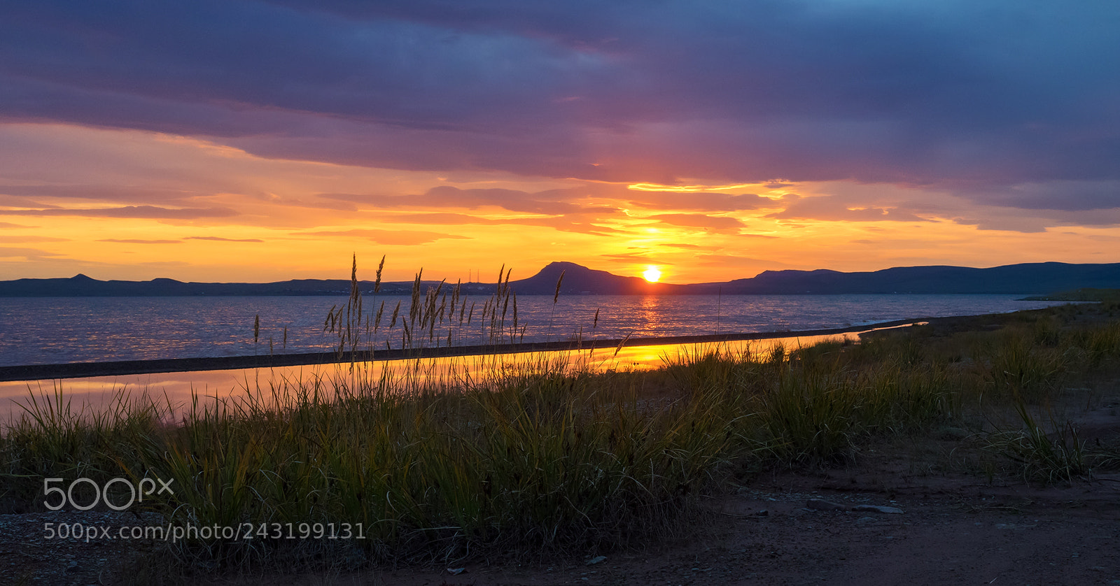 Olympus OM-D E-M1 sample photo. ...the golden sunset.... photography