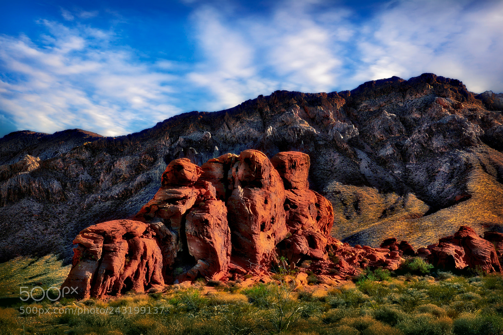 Nikon D810 sample photo. Valley of fire state photography