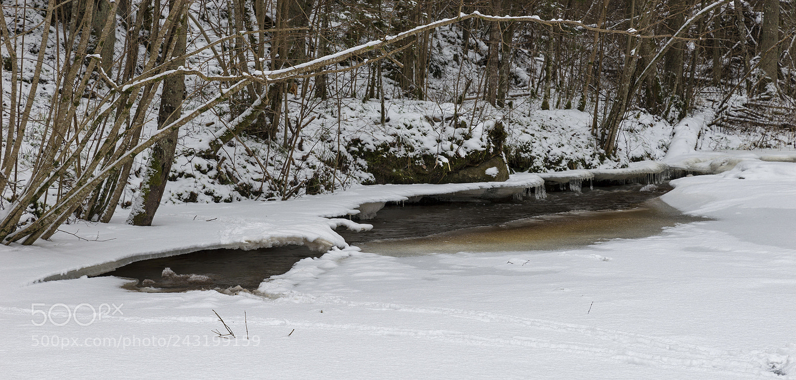 Sony SLT-A99V sample photo. Winter photography