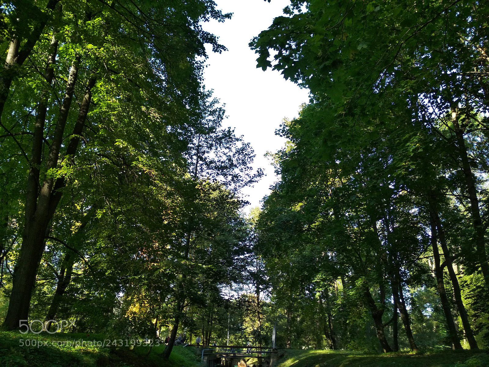 Xiaomi Redmi 4X sample photo. СПб photography