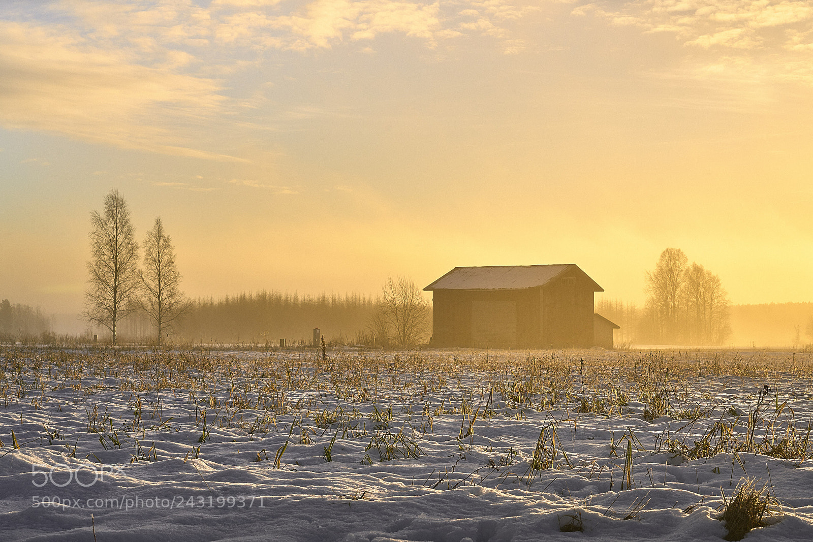 Sony a7R II sample photo. Sunset in isojoki photography