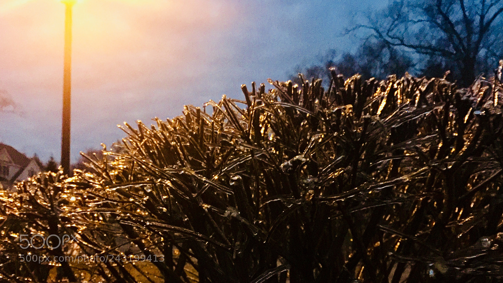 Apple iPhone 6 Plus sample photo. Trance photography