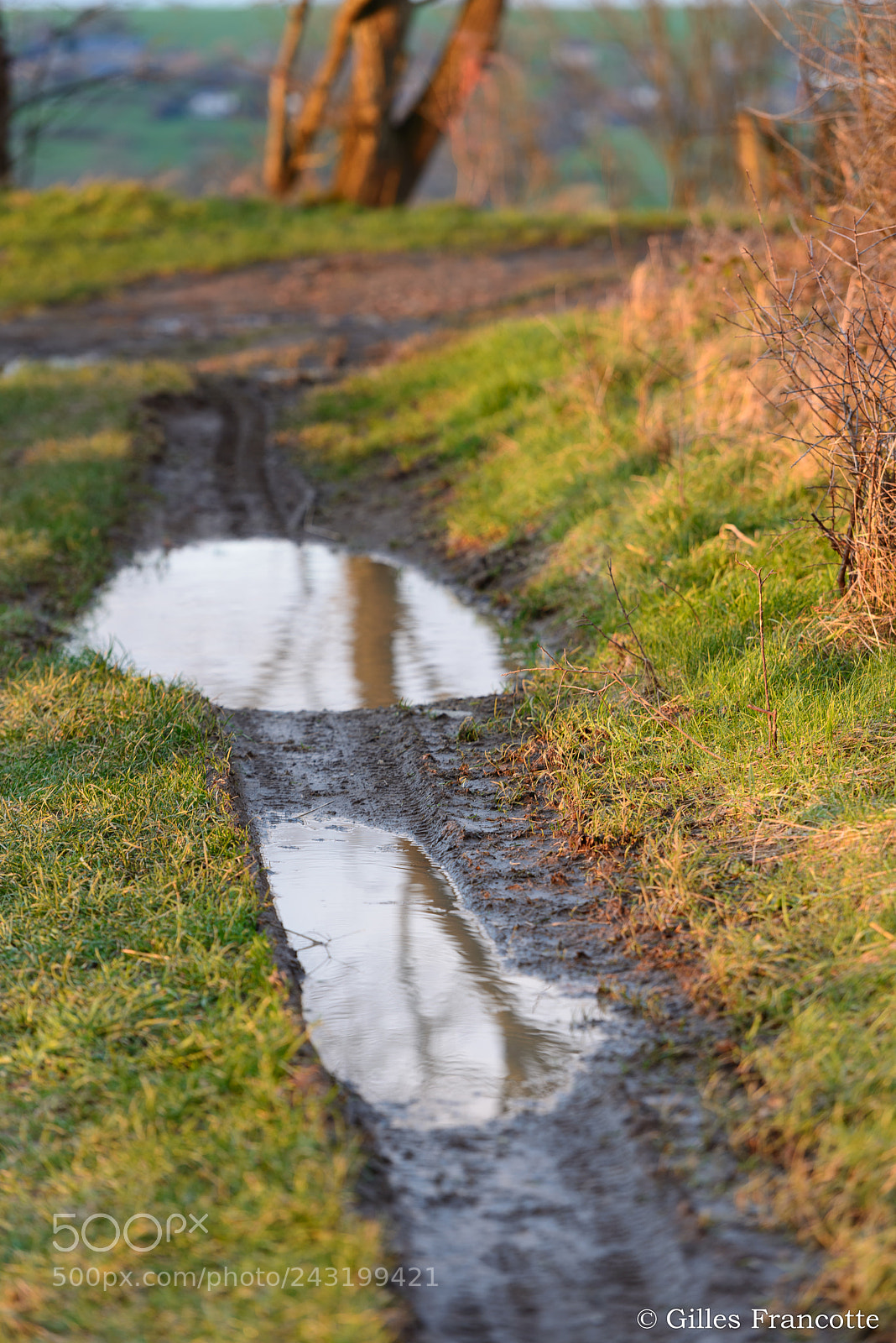Nikon D800 sample photo. 2 mirrors photography