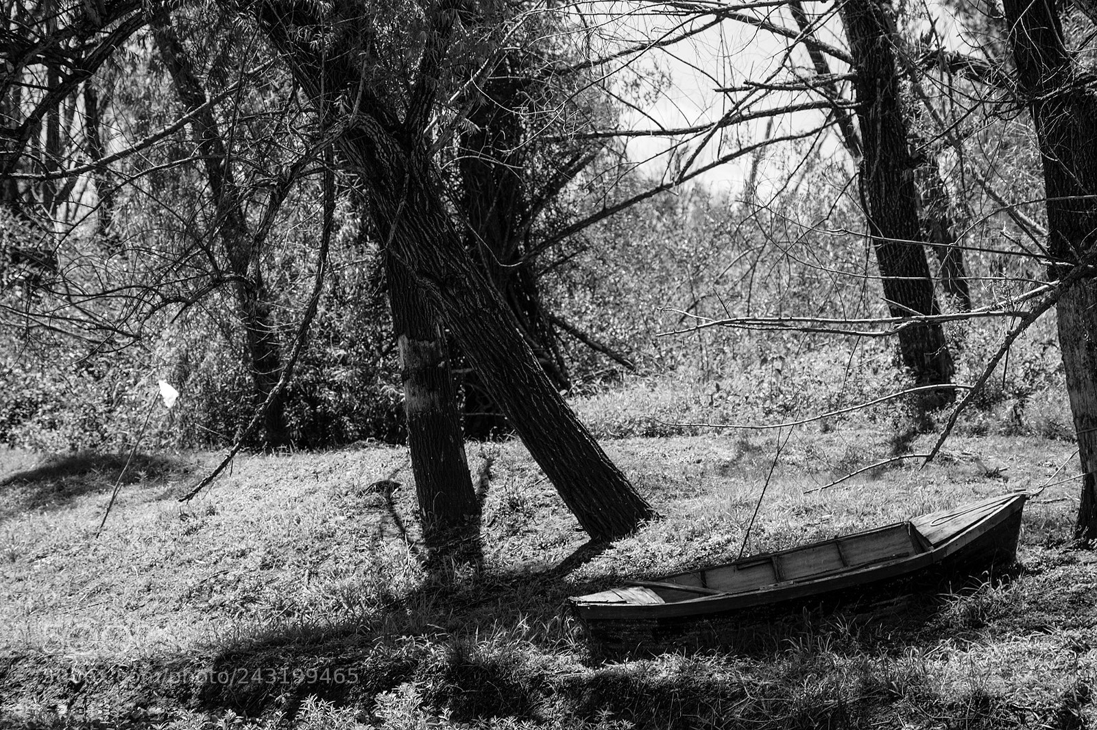 Nikon D3200 sample photo. Old boat photography
