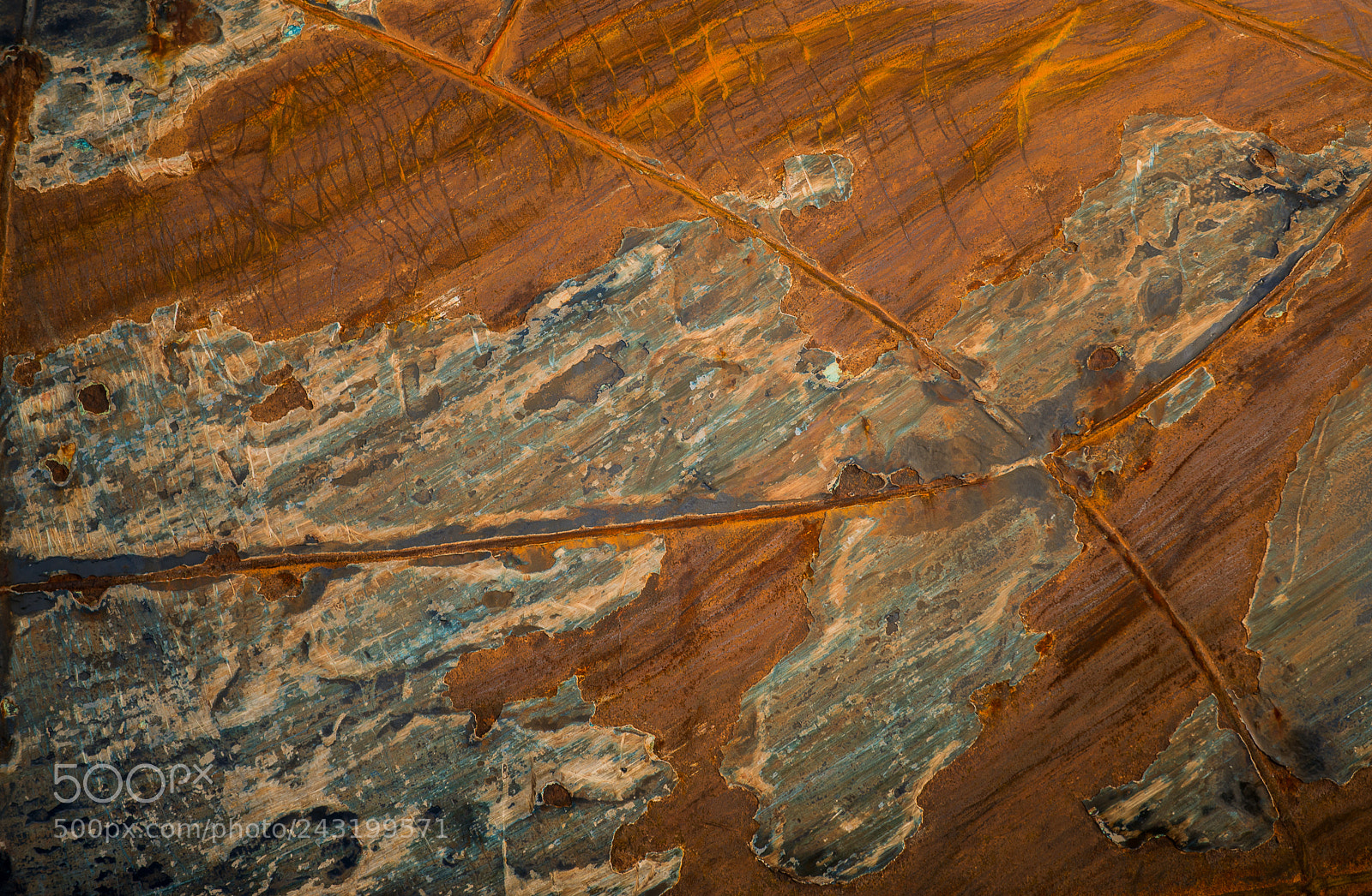 Nikon D610 sample photo. Continent de rouille photography