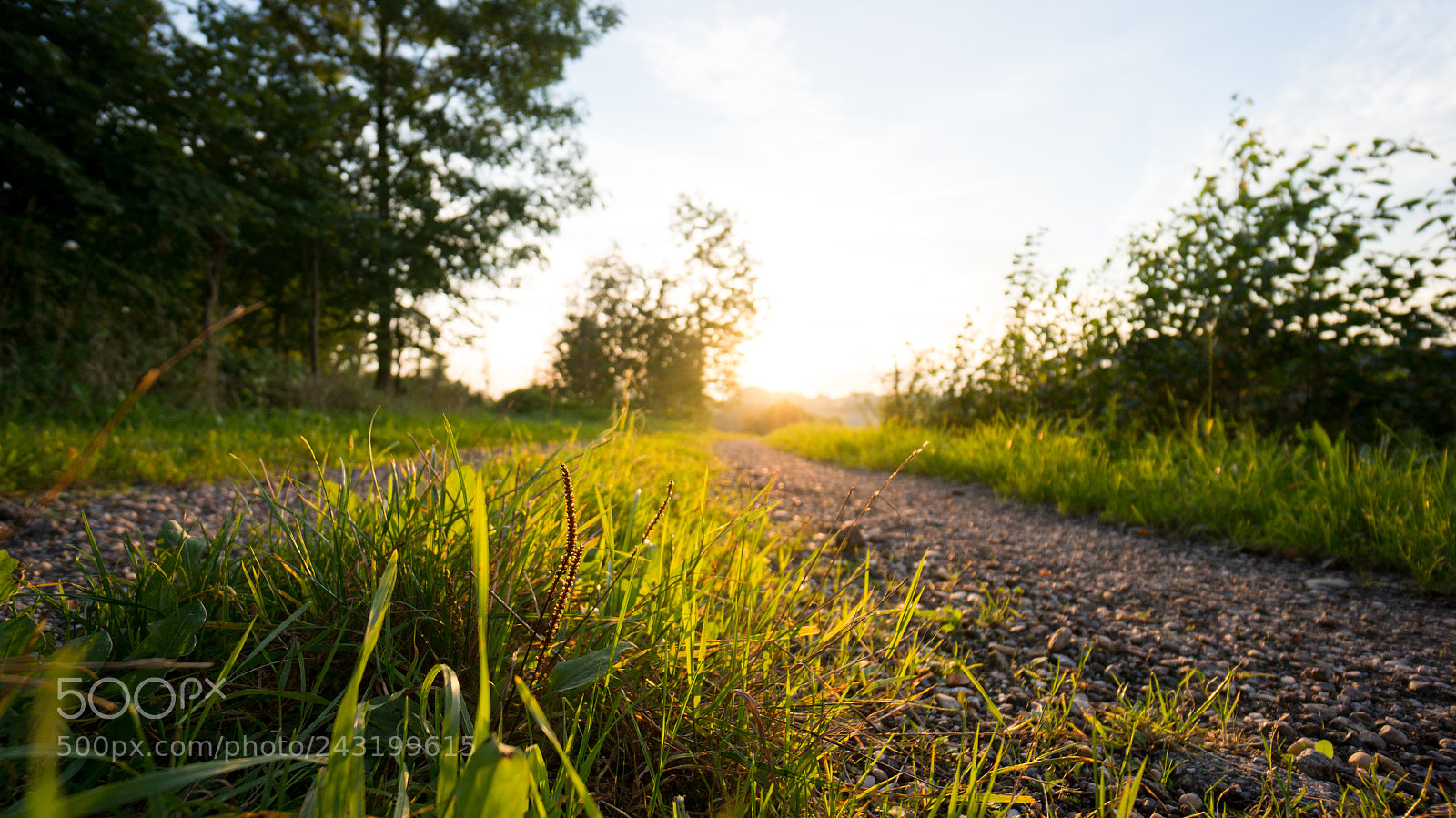 Sony Alpha NEX-5R sample photo. Stay photography