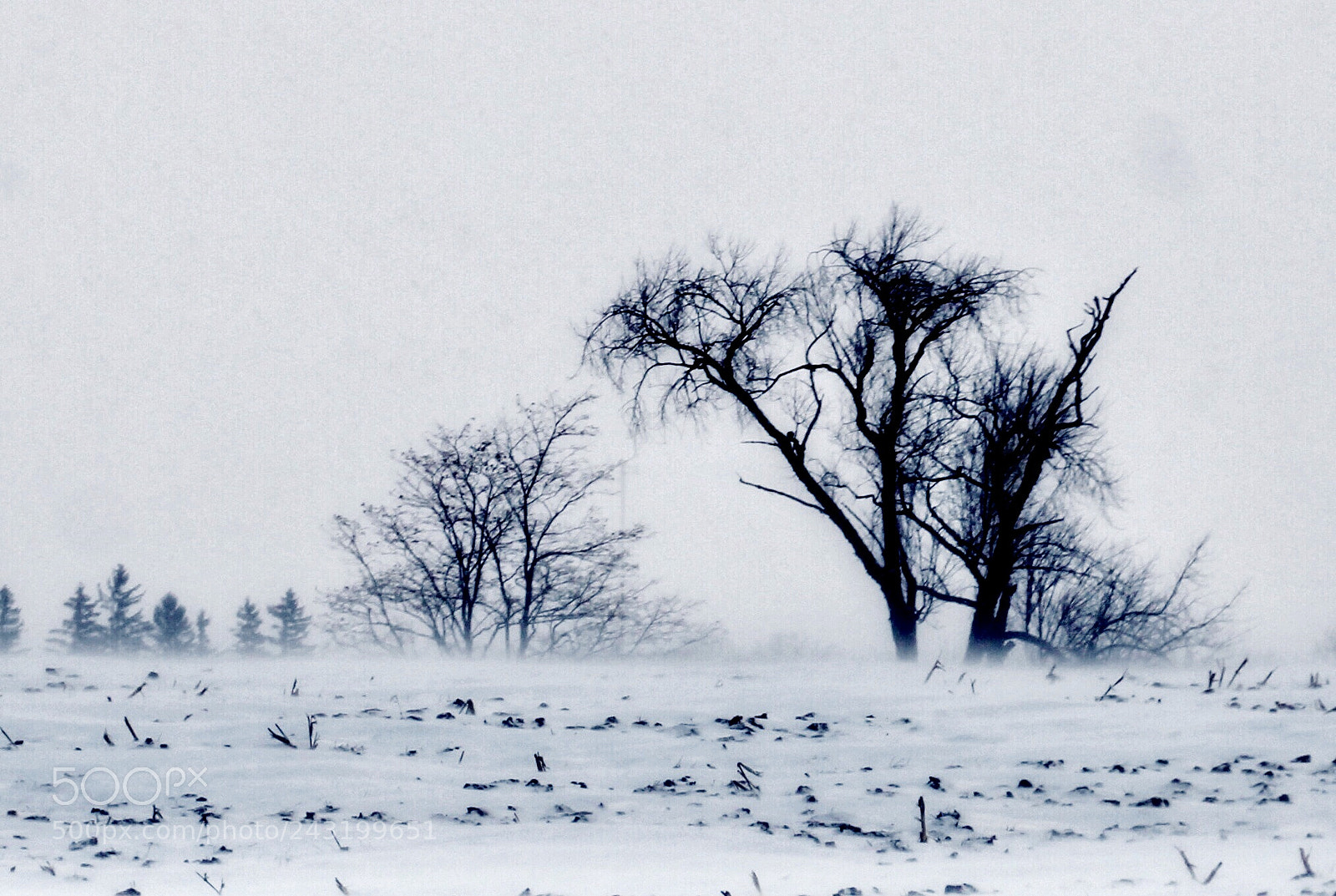 Canon EOS 60D sample photo. Winter fashion photography