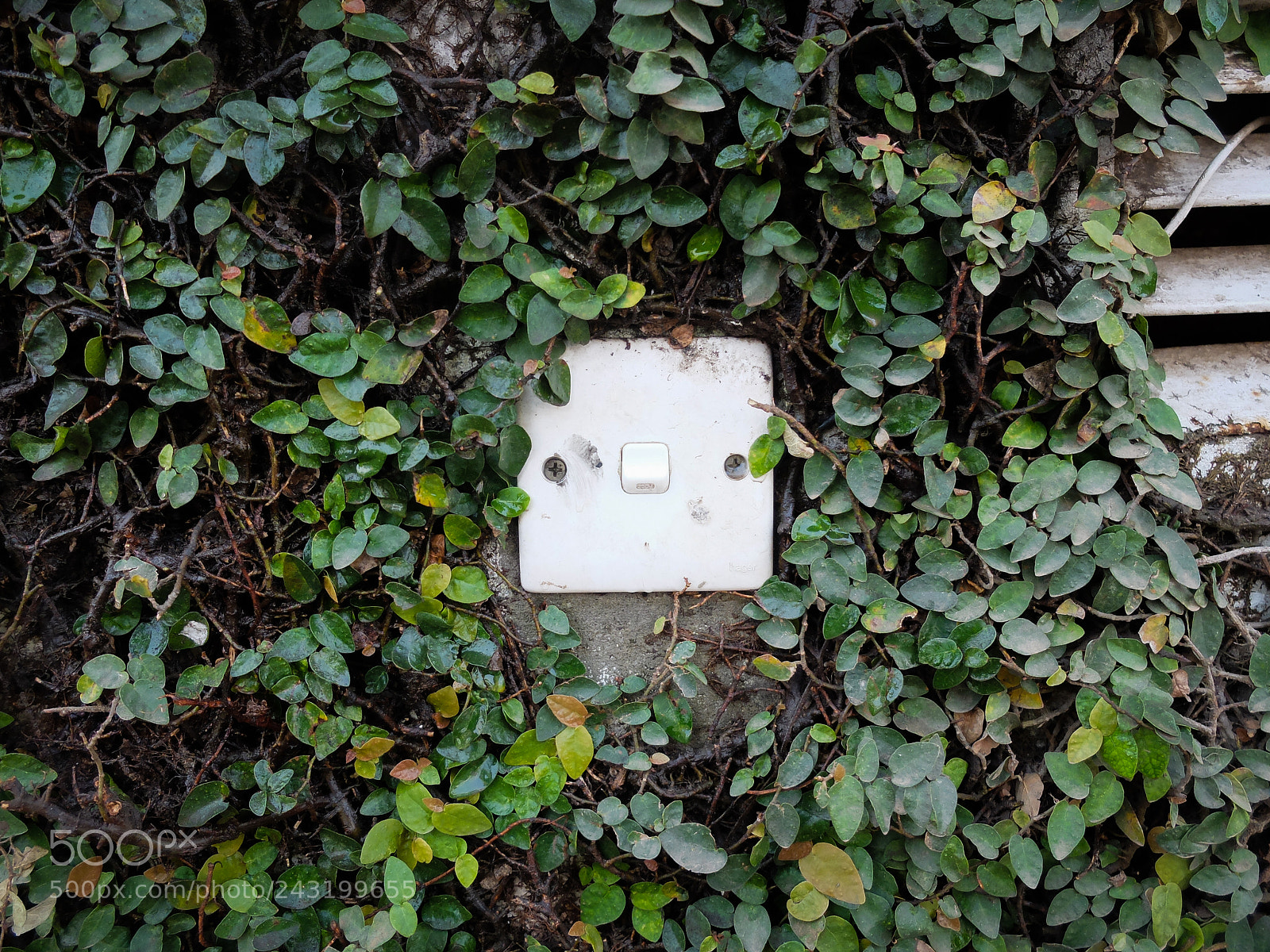 Fujifilm X20 sample photo. Gulashan, dhaka, bangladesh photography