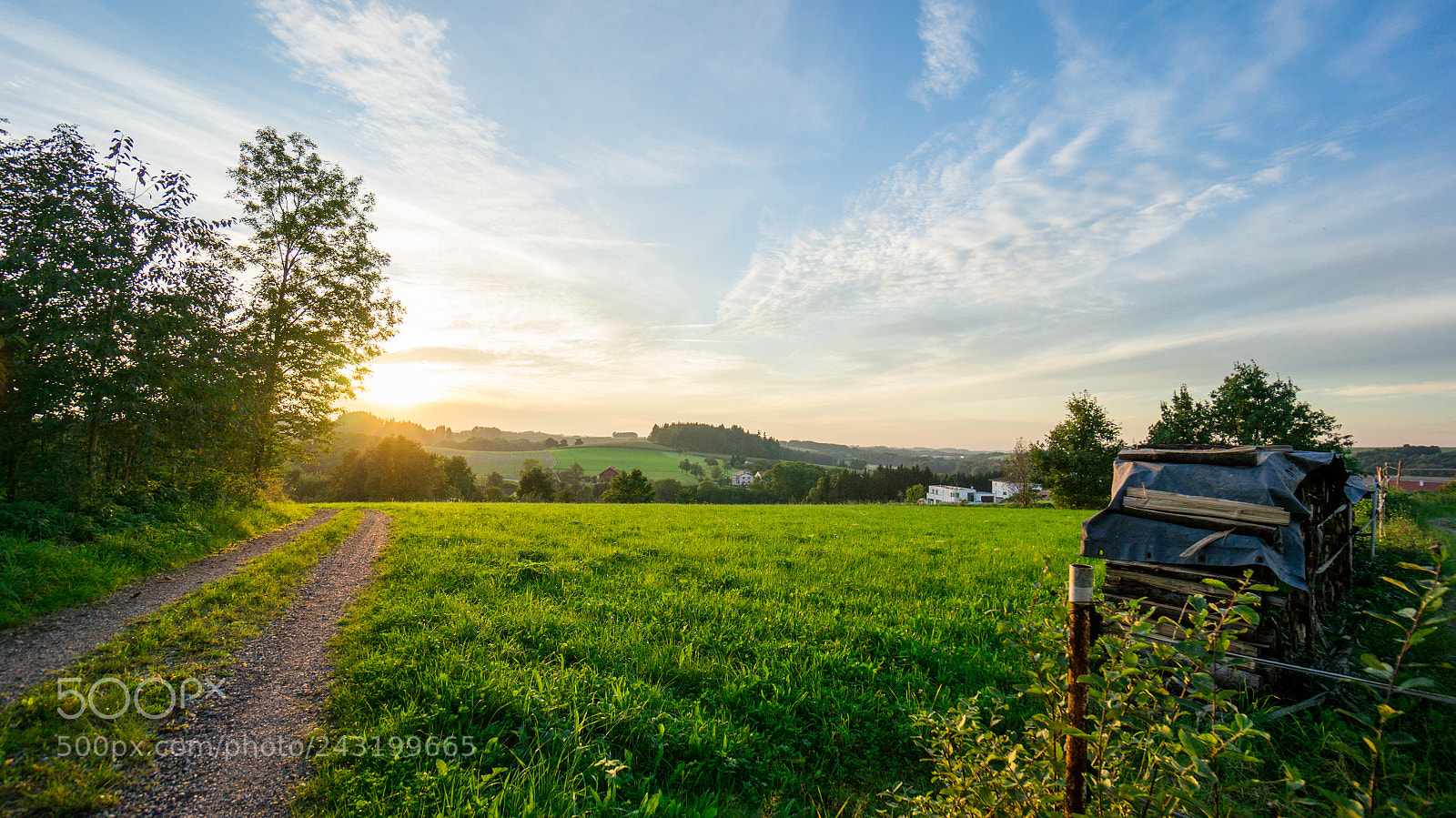 Sony Alpha NEX-5R sample photo. Stay ii photography