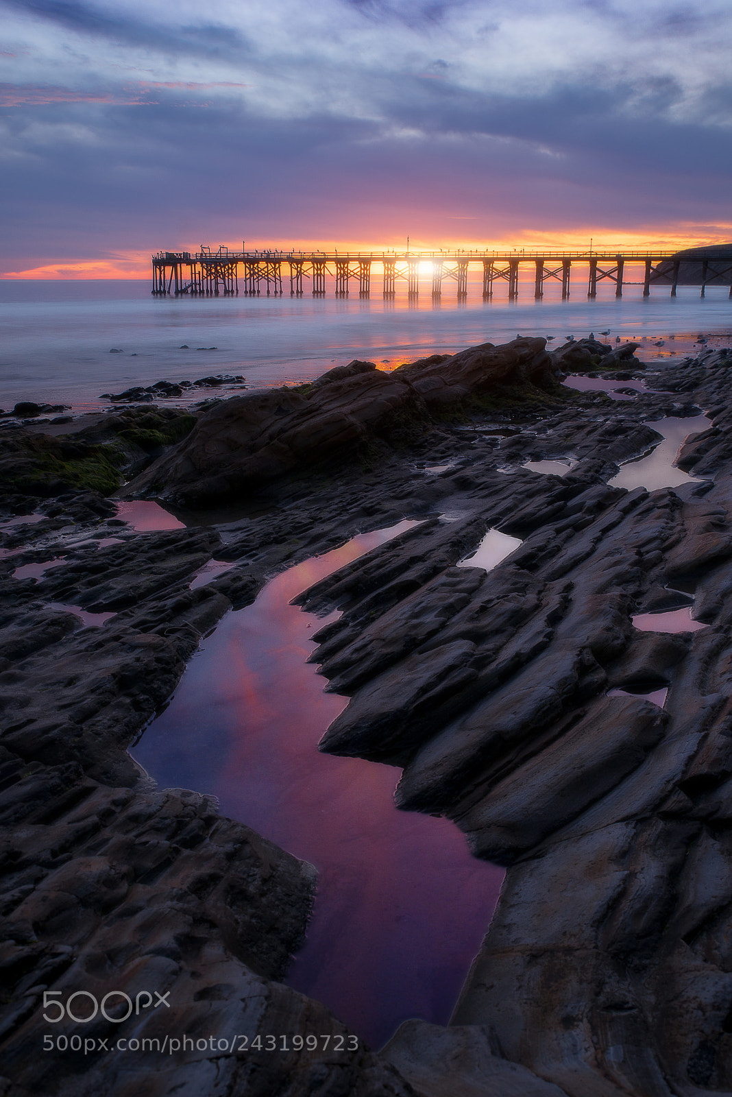 Nikon D750 sample photo. California sunset photography