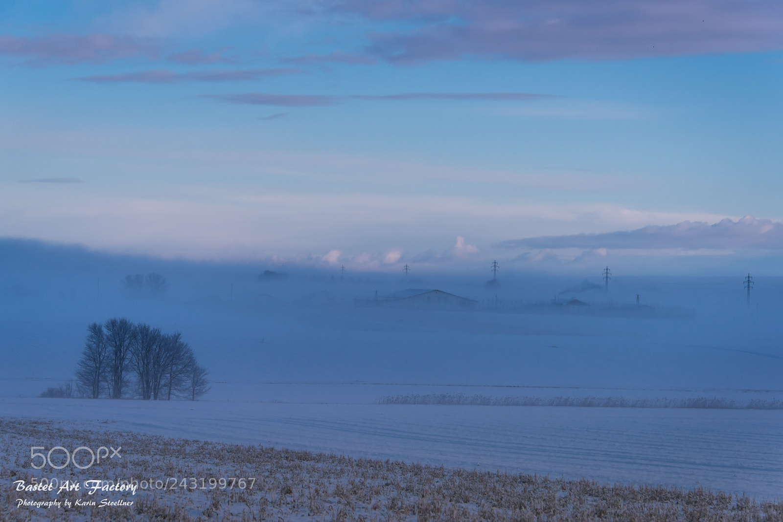 Nikon D810 sample photo. The winter sun is photography