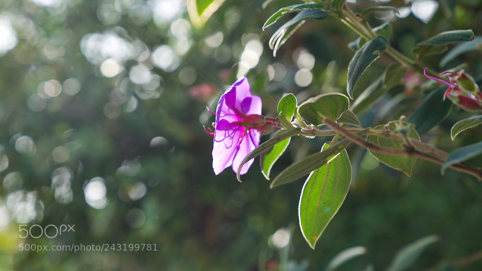 Sony a9 sample photo. She wants to lead photography