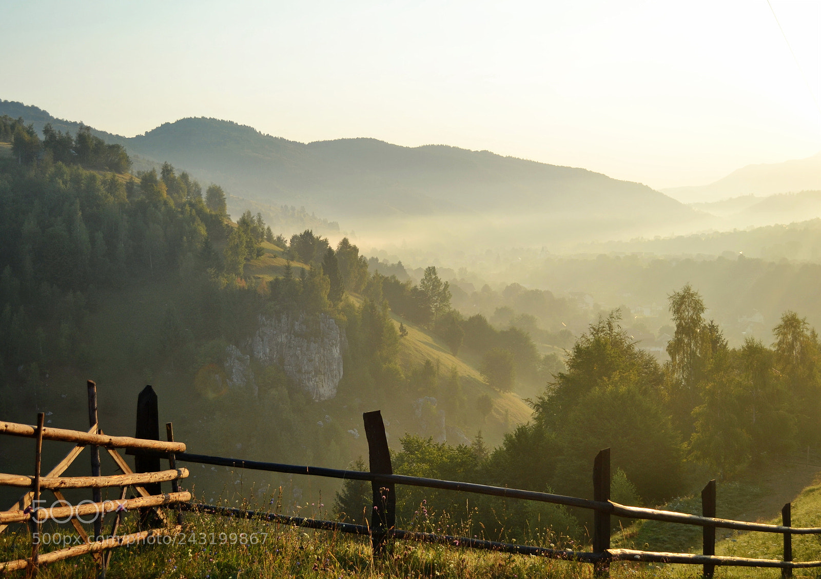 Nikon D3100 sample photo. Morning light photography