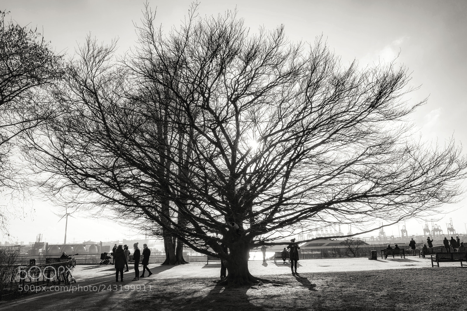 Leica CL sample photo. Altonaer balkon photography