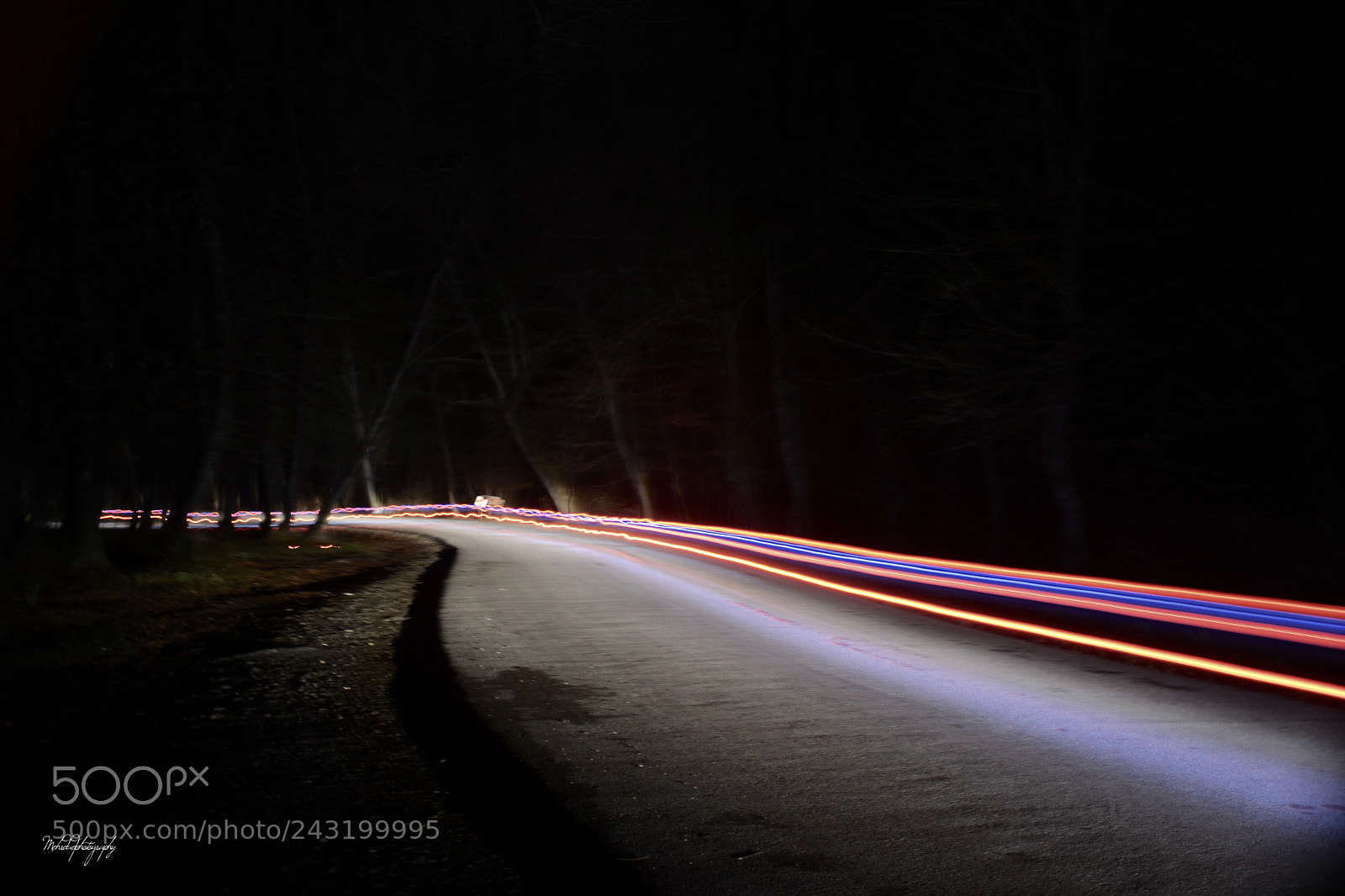 Nikon D7100 sample photo. Forest night photography