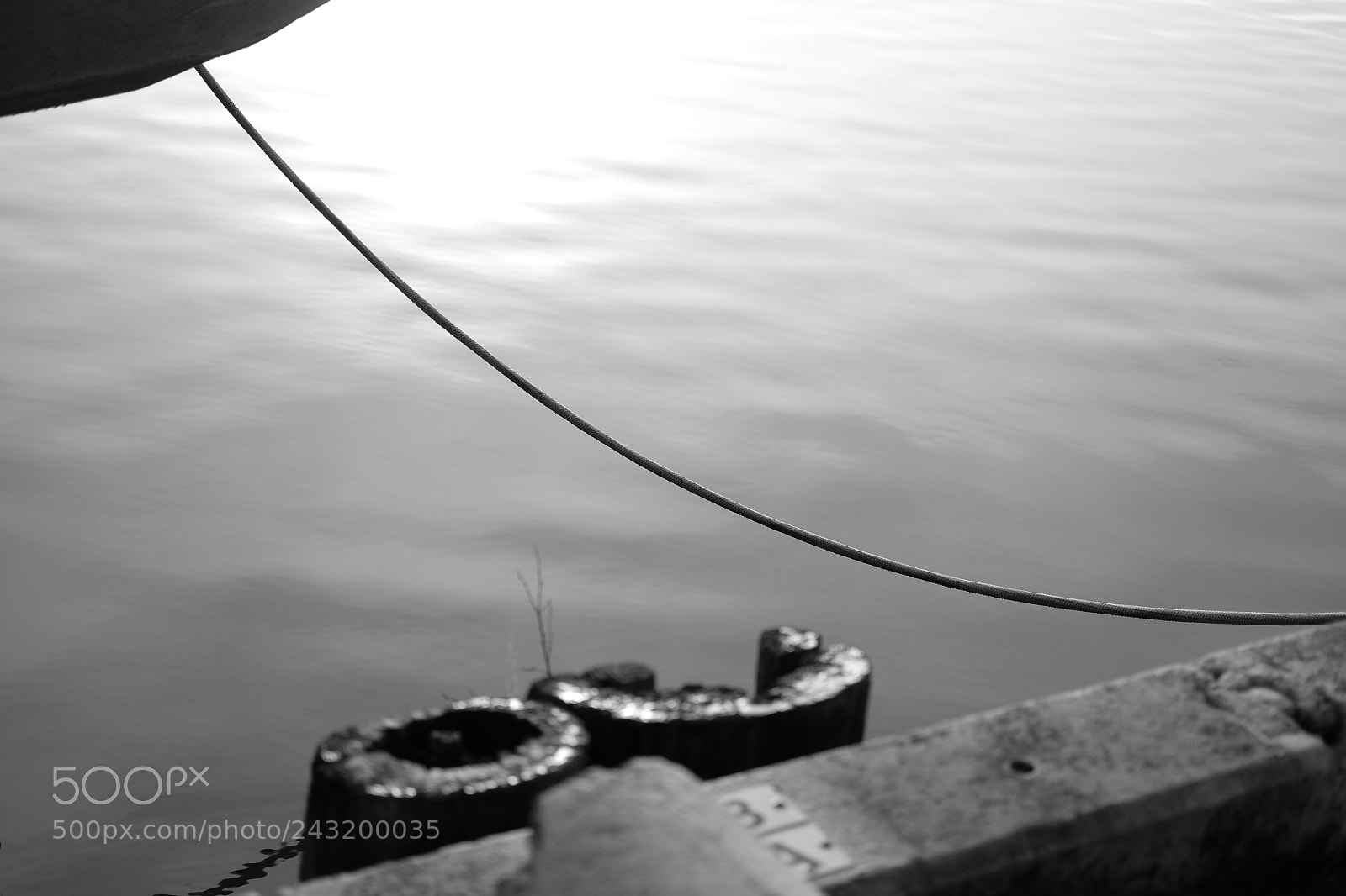 Fujifilm X-T1 sample photo. Foggy minimalism - steveston photography