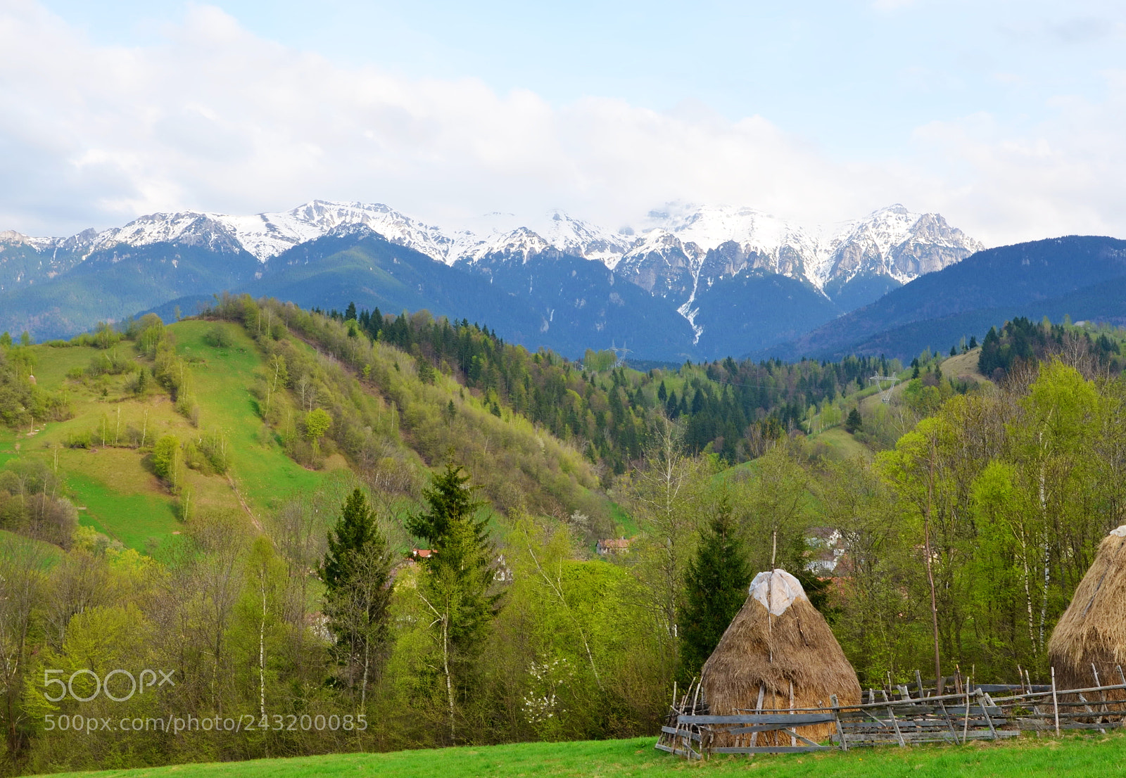 Nikon D5100 sample photo. Spring view photography