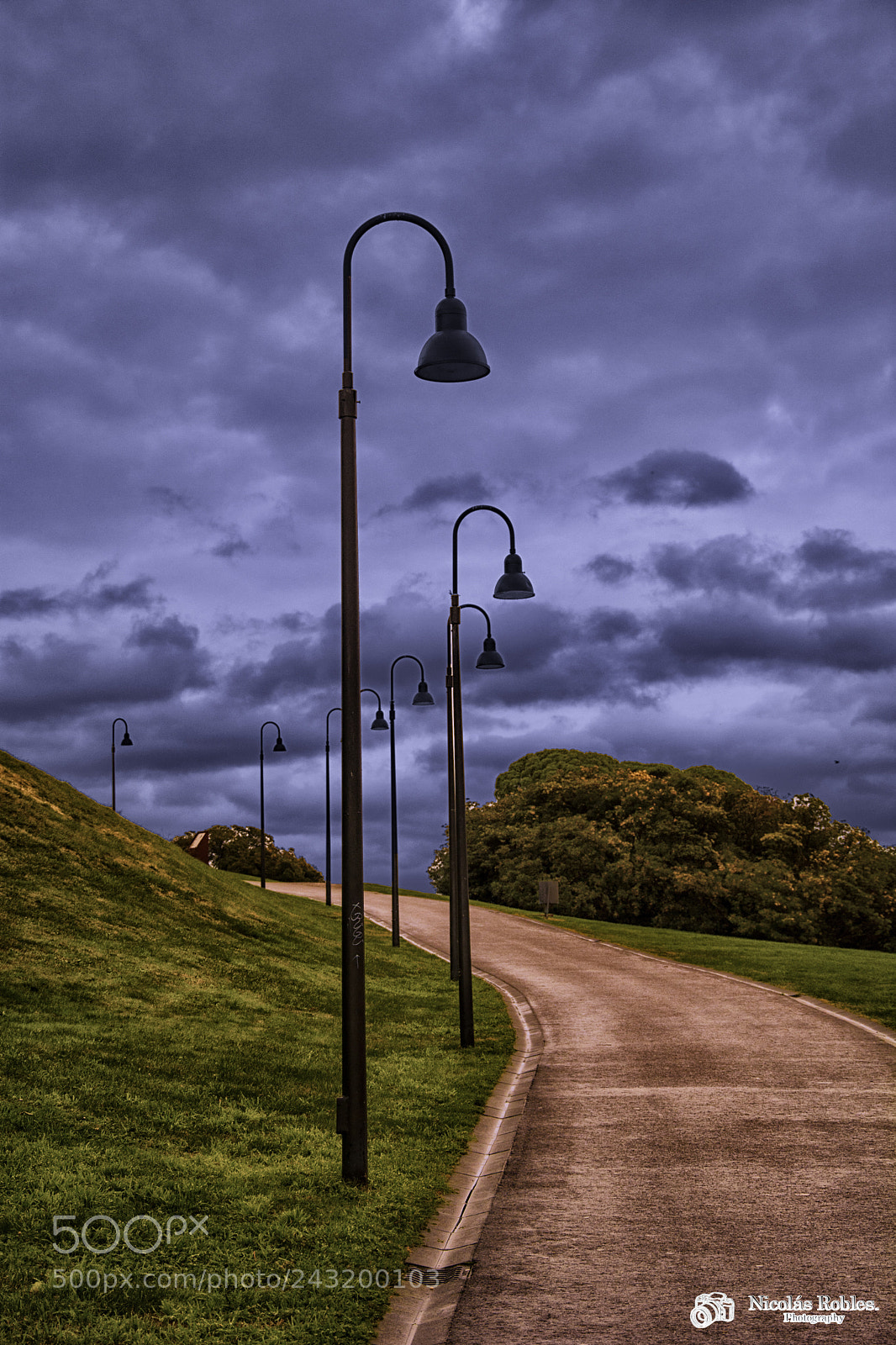 Nikon D7100 sample photo. Path photography