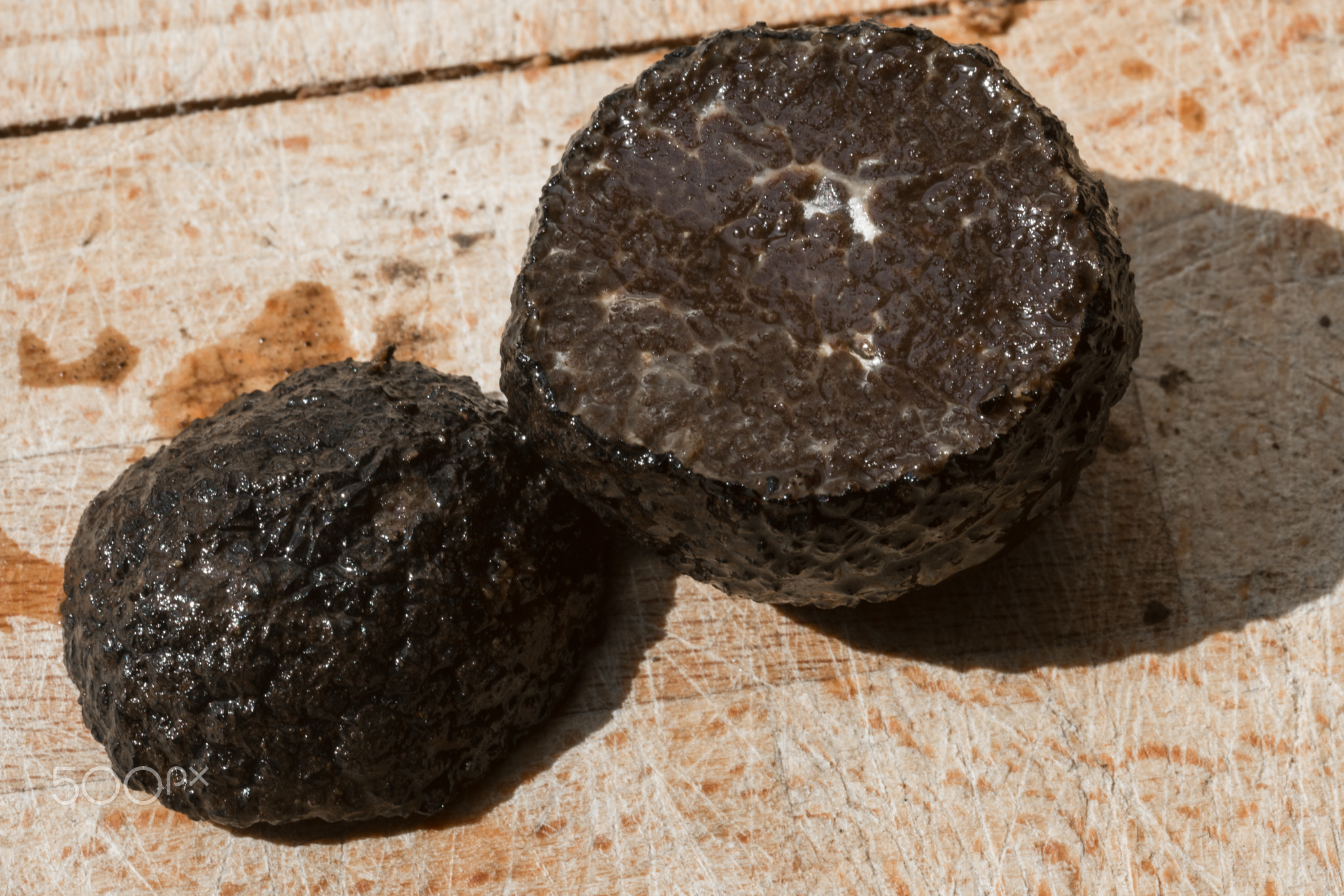 black truffle isolated