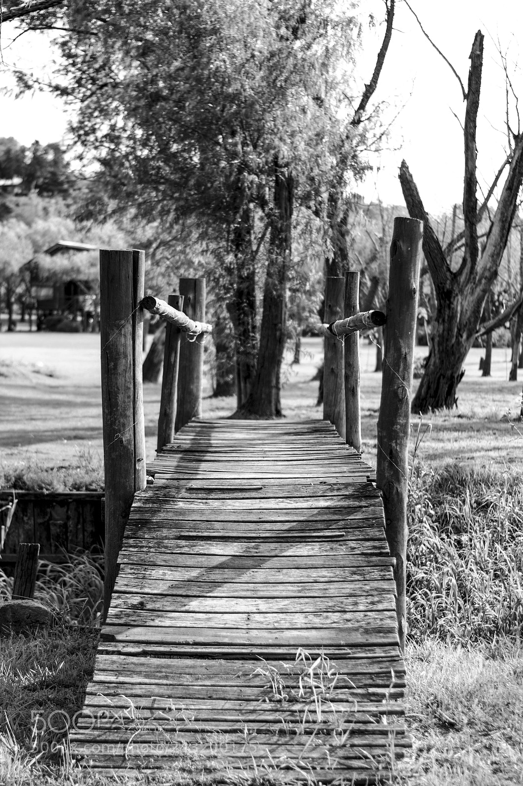 Nikon D3200 sample photo. Bridge photography