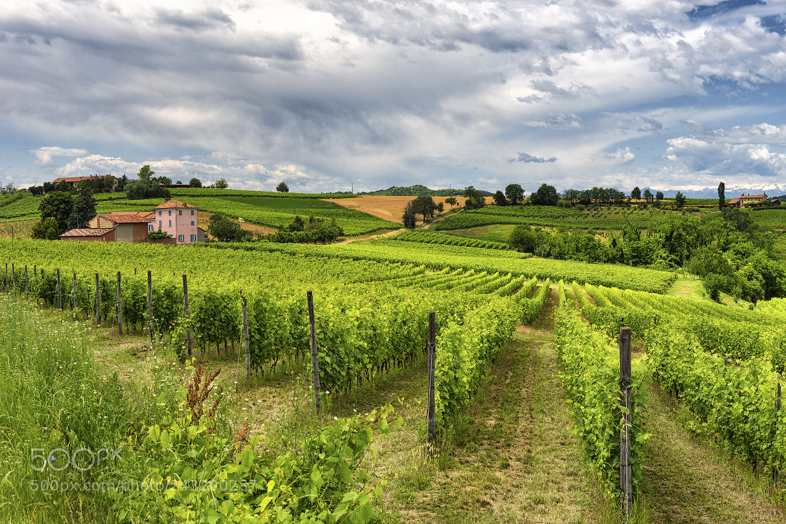 Nikon D800 sample photo. Monferrato (italy): landscape photography