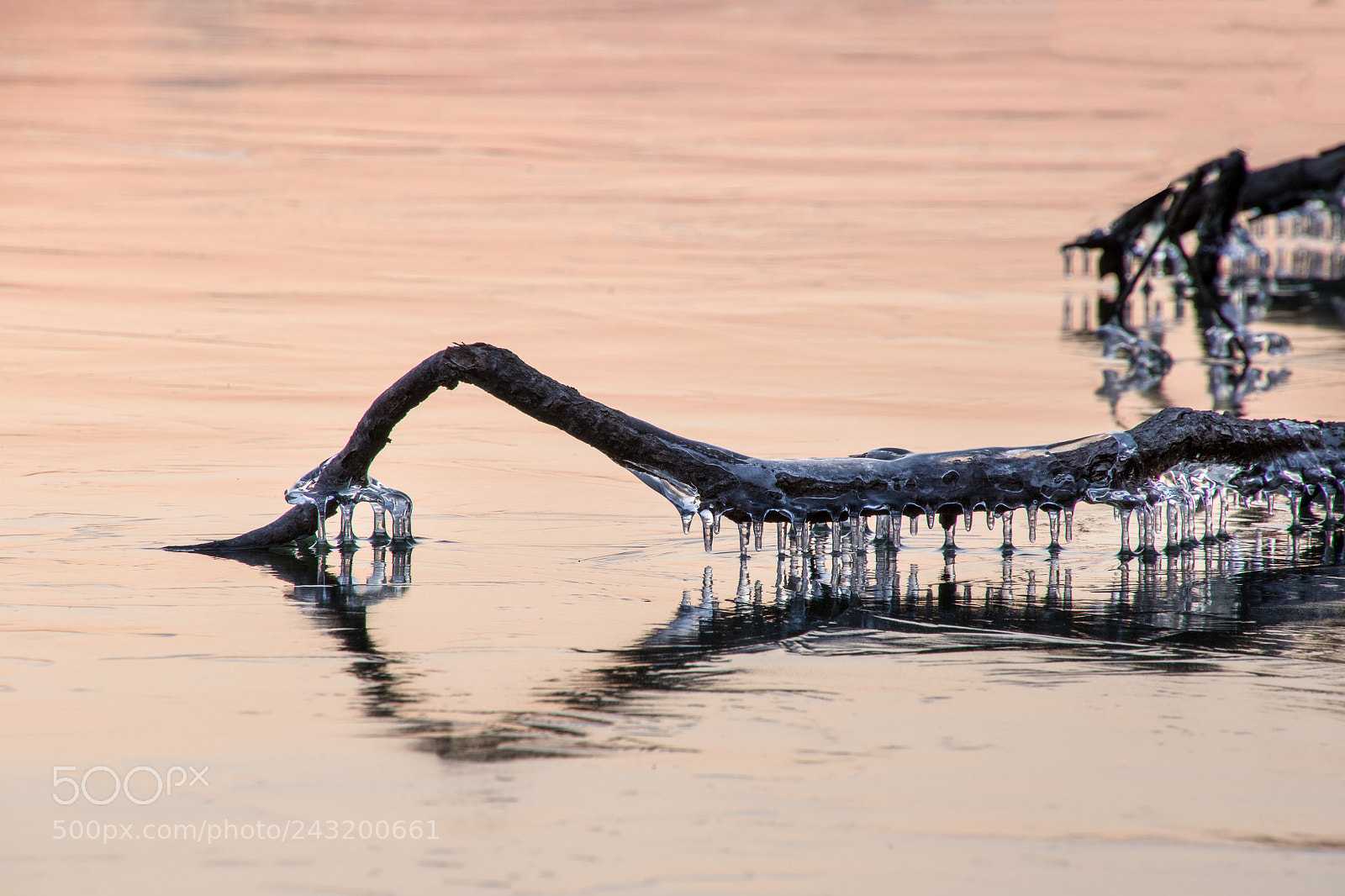 Canon EOS 7D Mark II sample photo. Nature’s ice sculpture photography