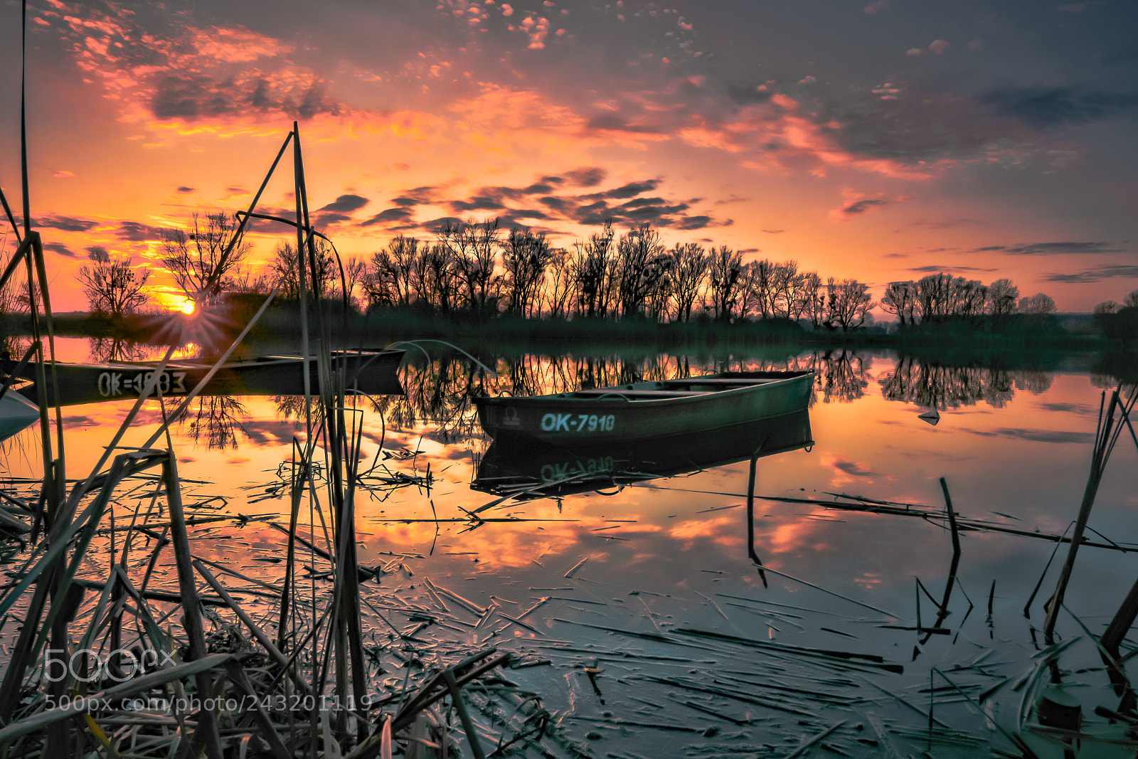 Nikon D7100 sample photo. Catching the last sunrays photography