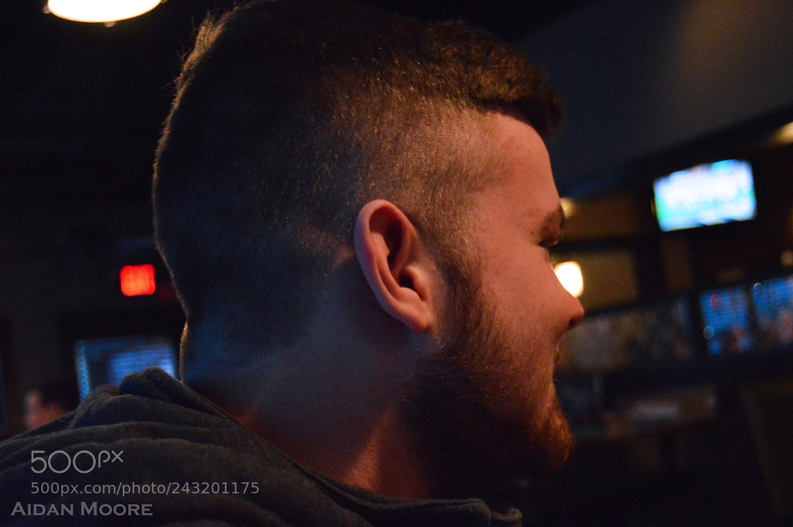 Nikon D3200 sample photo. Harley photography