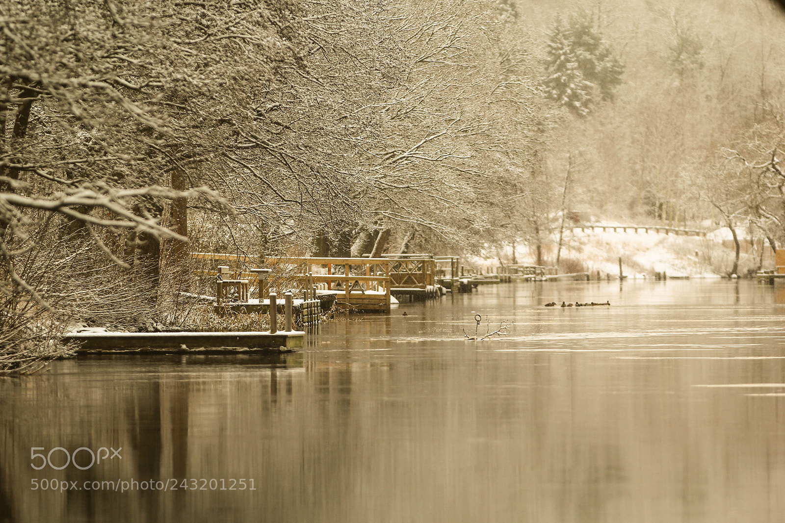 Canon EOS 60D sample photo. Snow was falling silently photography