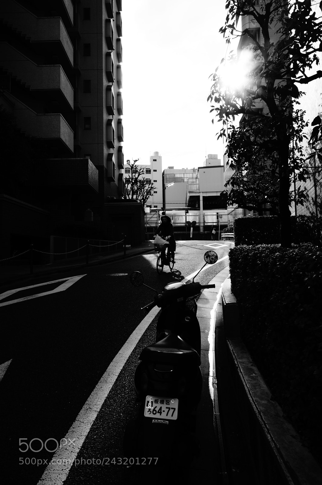 Sony Alpha NEX-5T sample photo. A scene photography