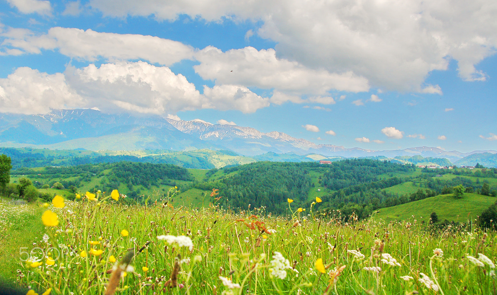 Nikon D50 sample photo. Summer view from pestera photography