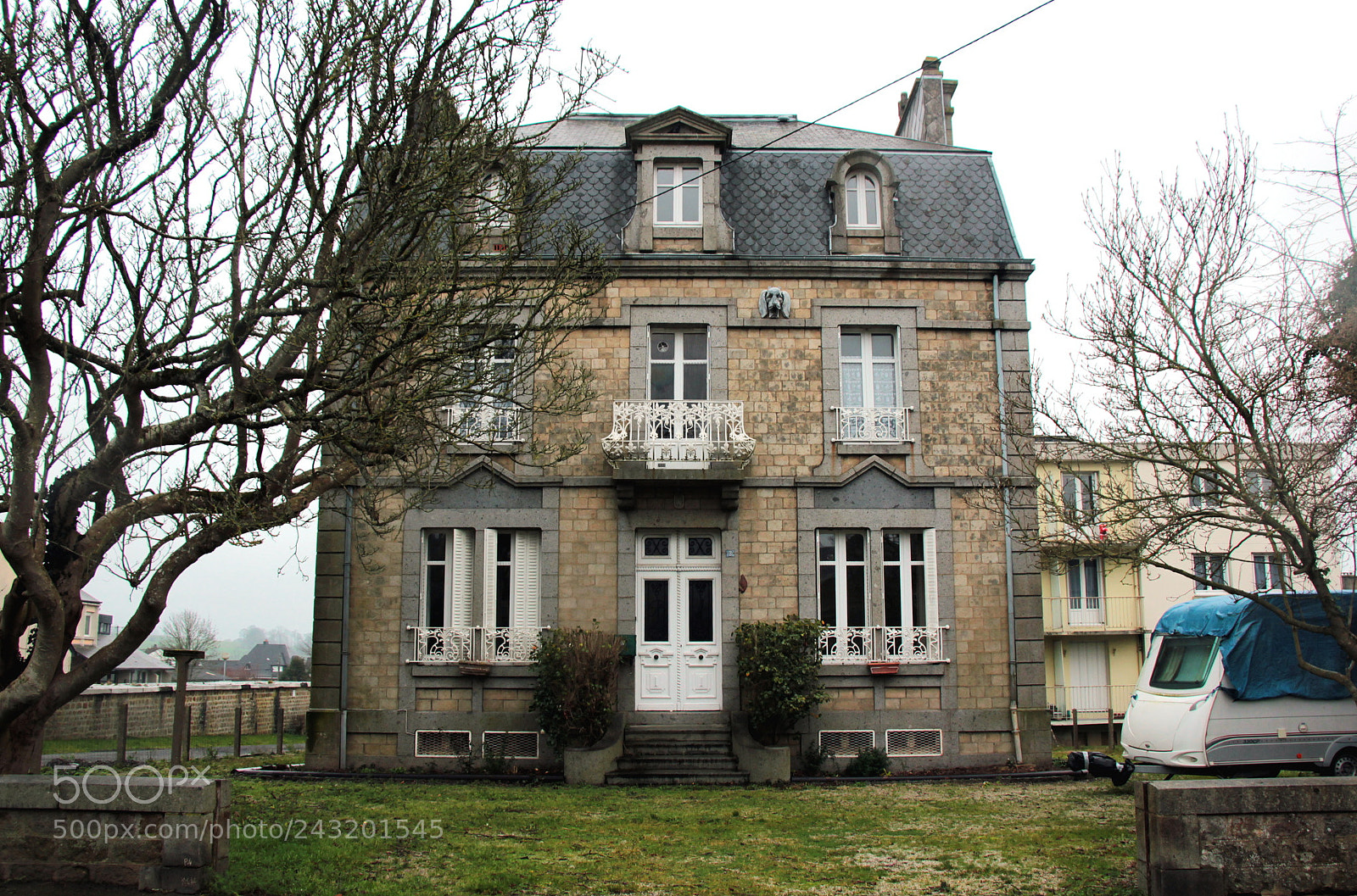 Canon EOS 550D (EOS Rebel T2i / EOS Kiss X4) sample photo. La maison du chien photography
