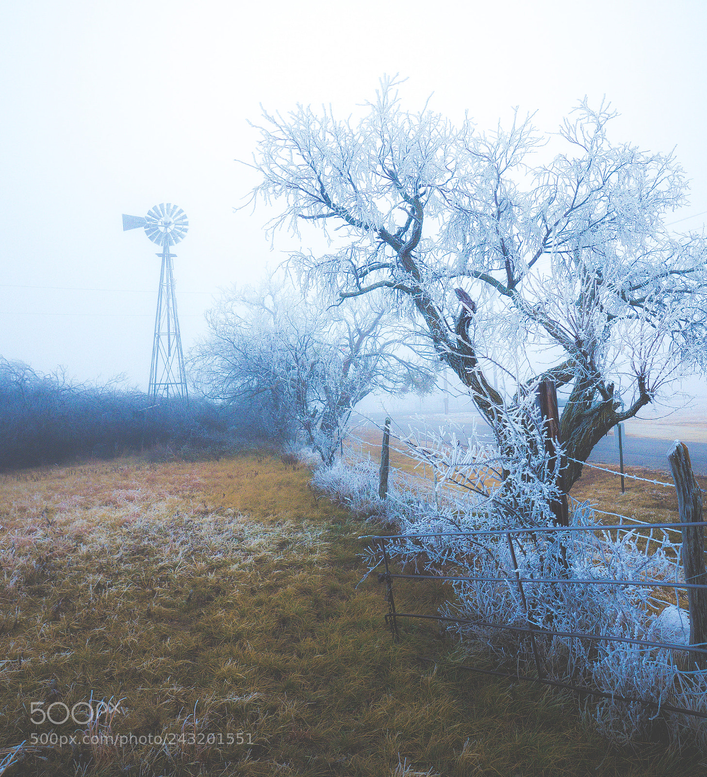 Olympus OM-D E-M1 Mark II sample photo. West texas ice photography