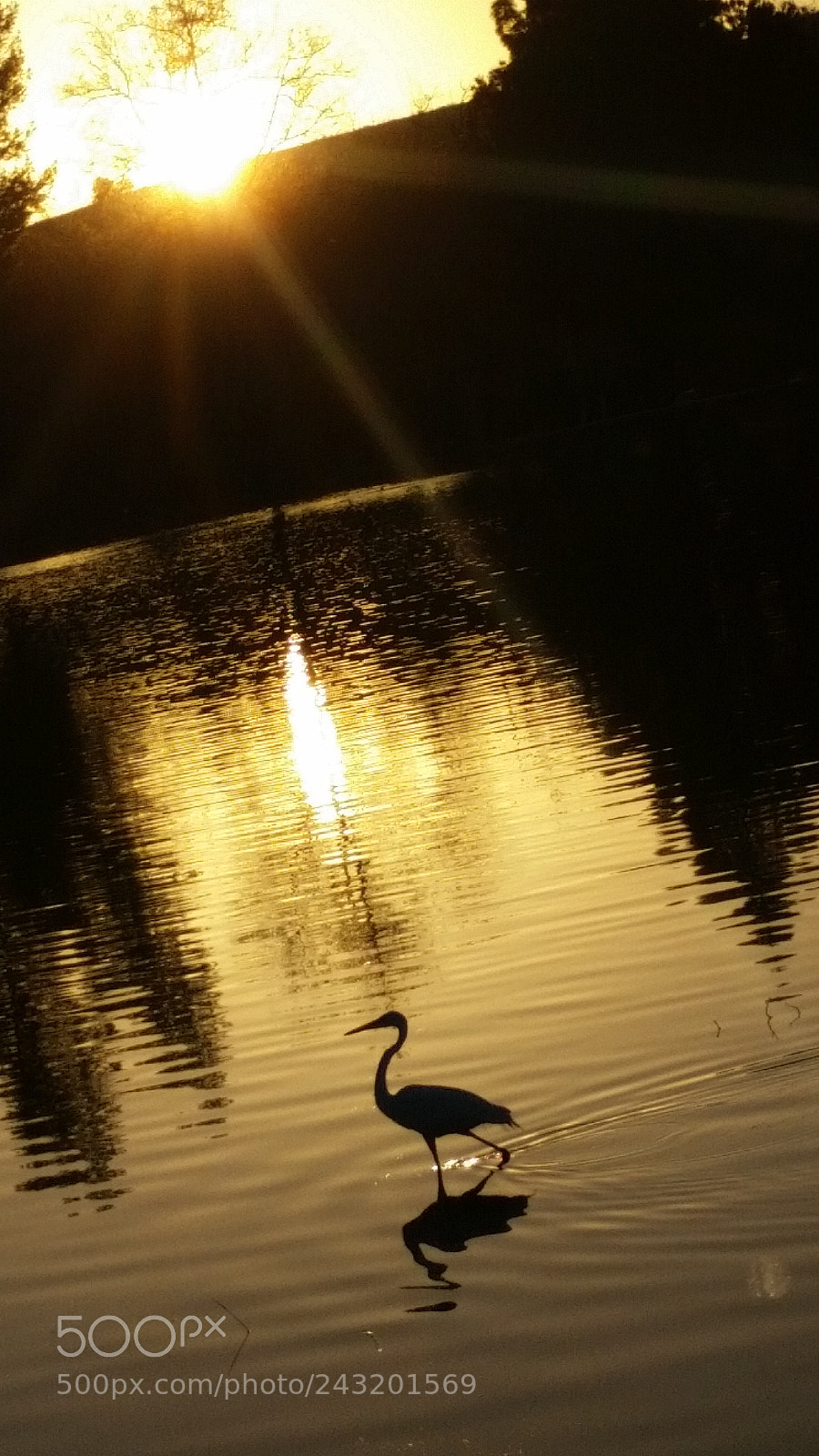 Samsung Galaxy S5 sample photo. Untitled photography