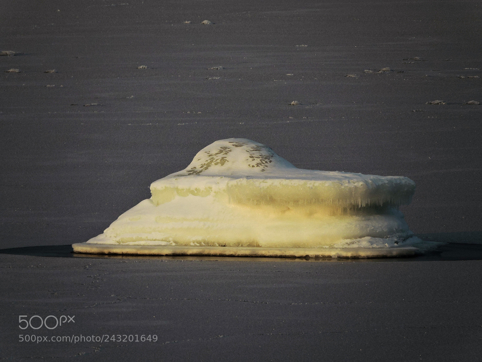 Nikon Coolpix P600 sample photo. Ice crocodile photography