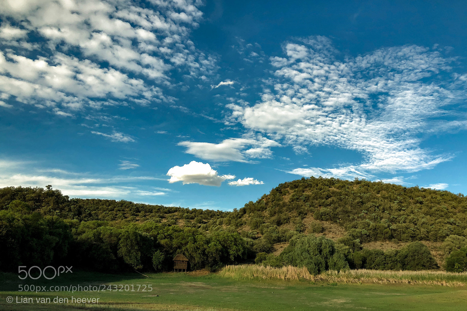 Apple iPhone X sample photo. Cirrus clouds over the photography