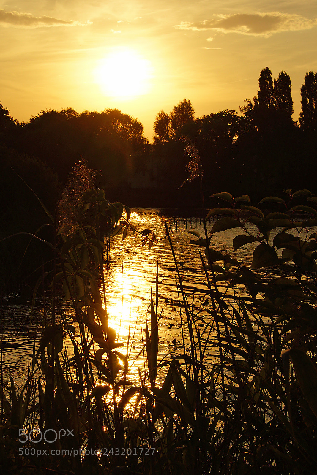 Sony SLT-A77 sample photo. Potsdam sonnenuntergang photography