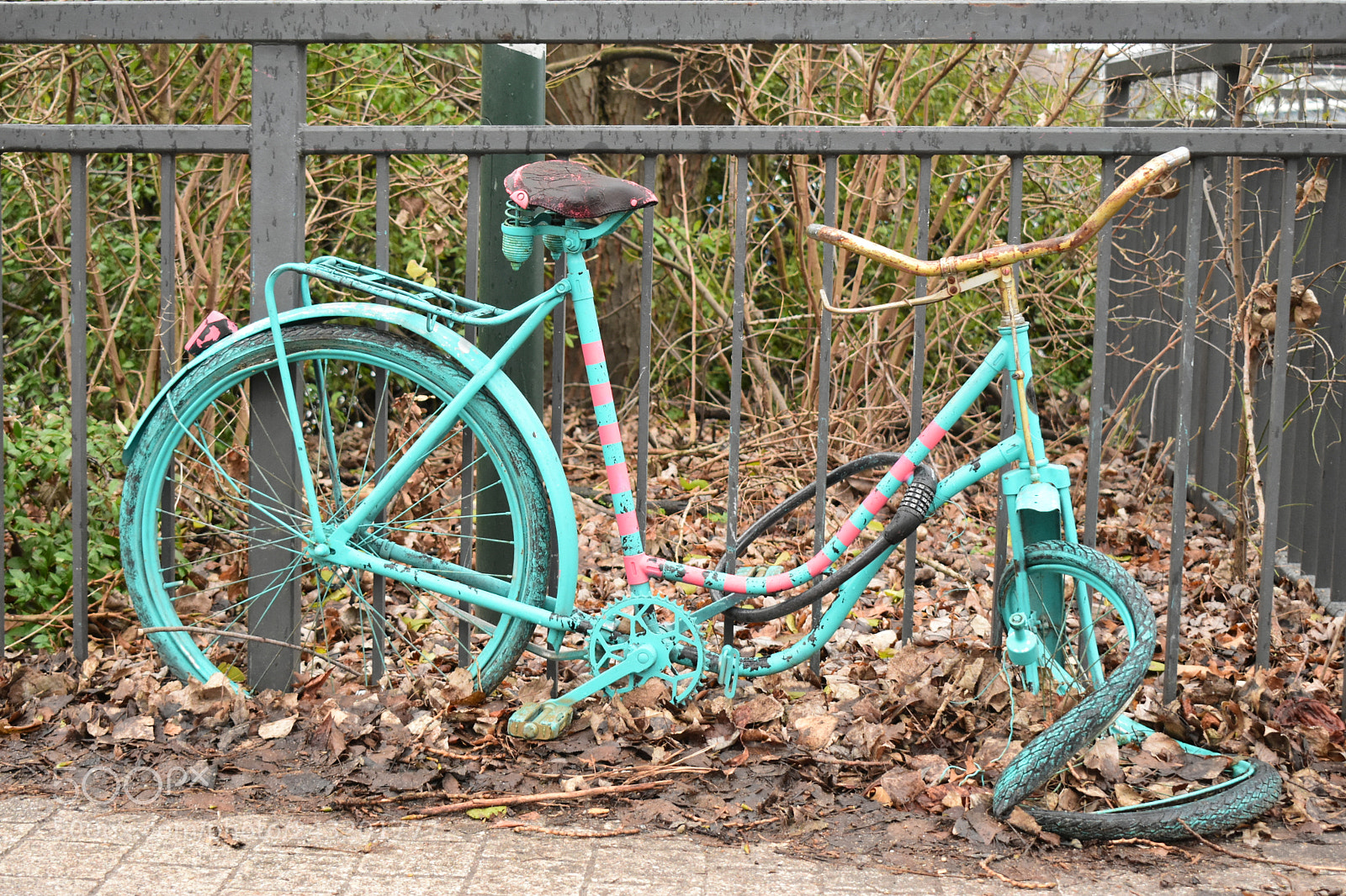 Nikon D3400 sample photo. Broken hart photography