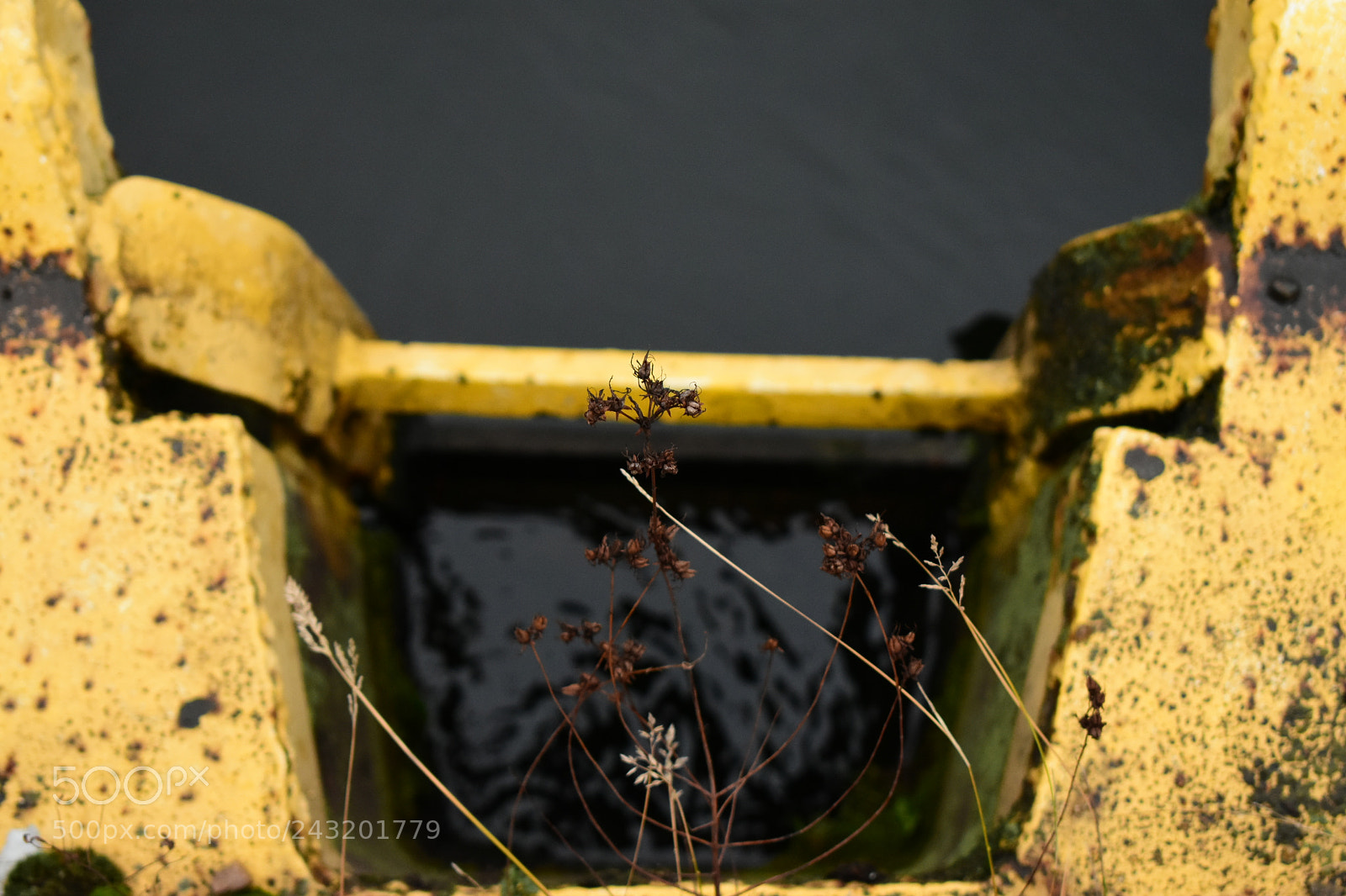 Nikon D3400 sample photo. Hope photography