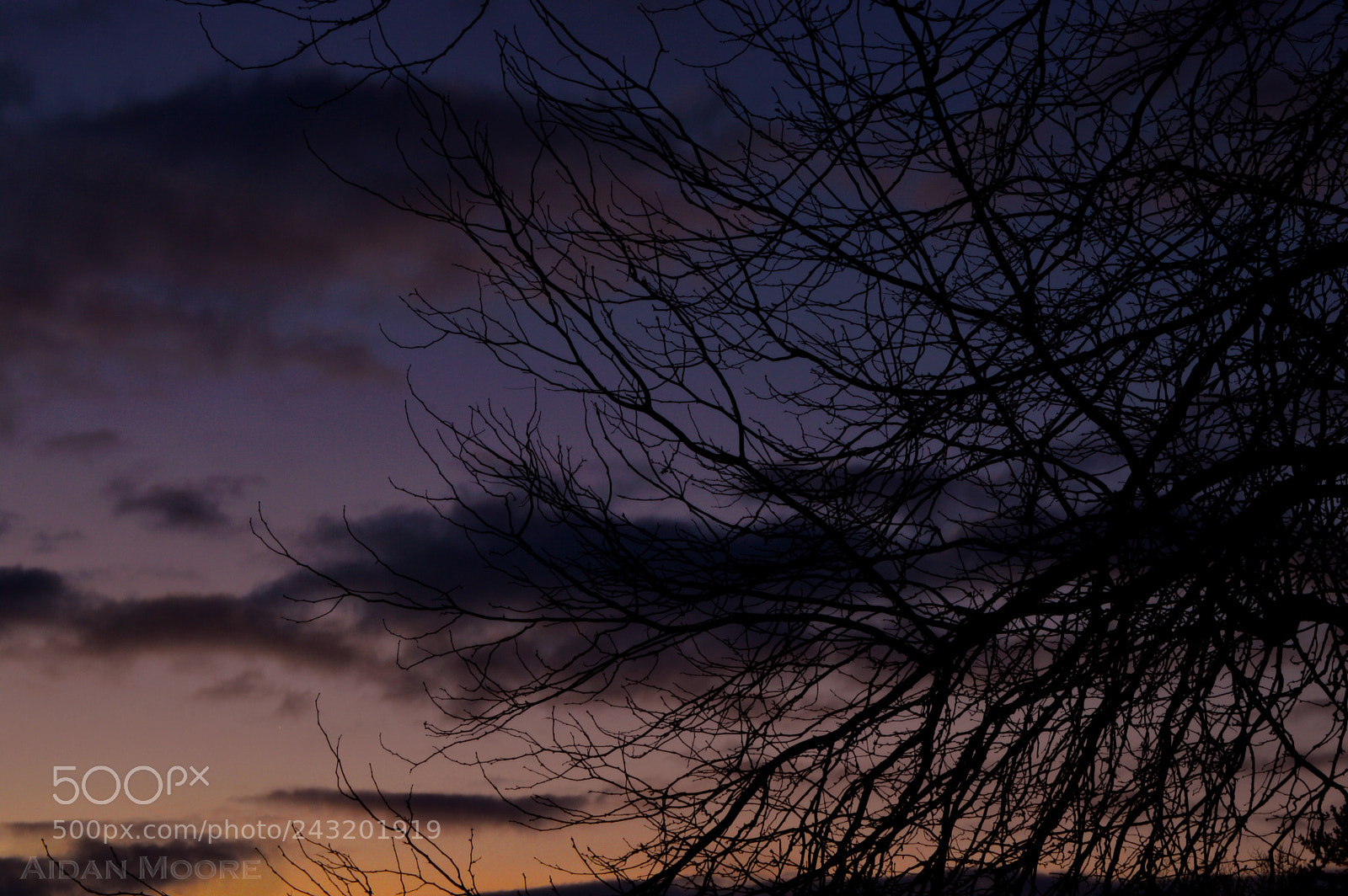 Nikon D3200 sample photo. Sillohette photography