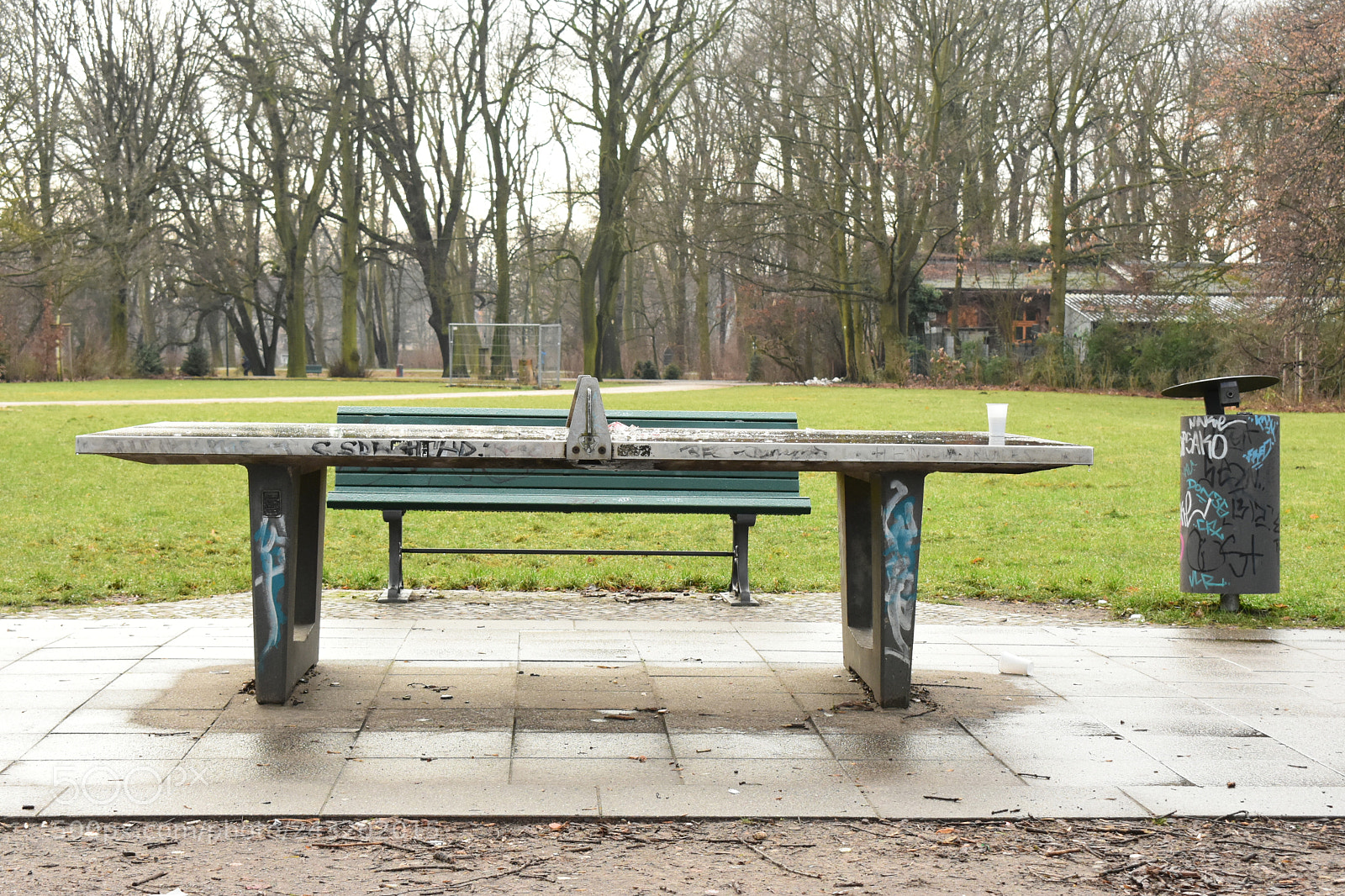 Nikon D3400 sample photo. Bier photography