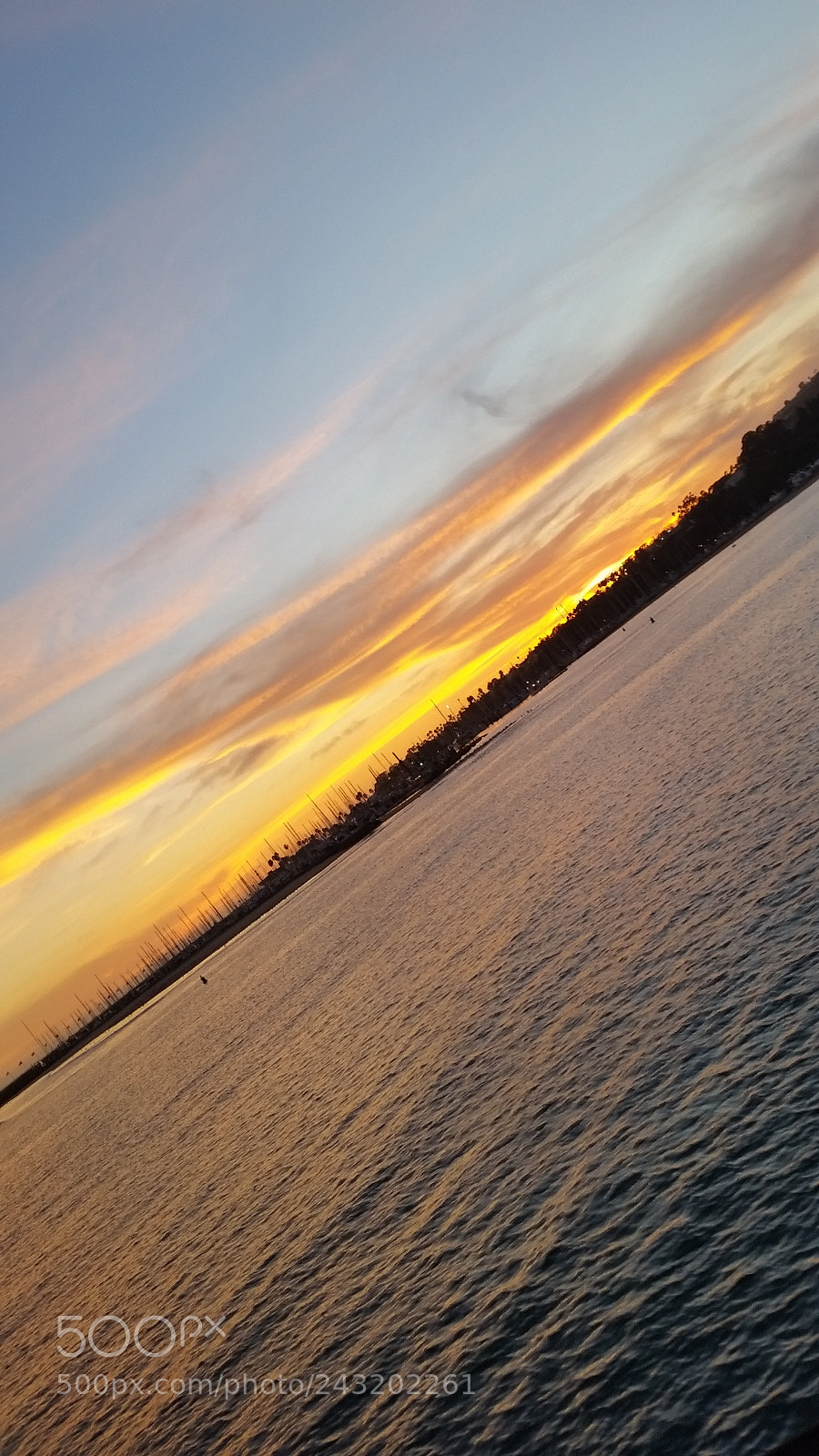 Samsung Galaxy S5 sample photo. Untitled photography