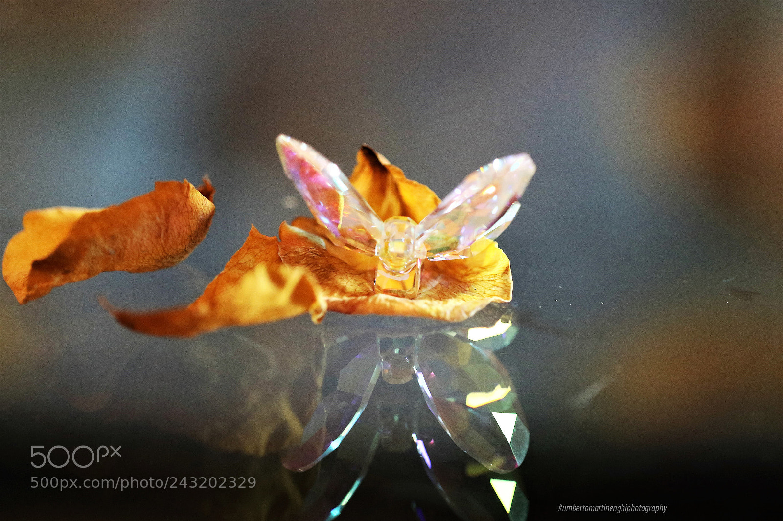Canon EOS 7D Mark II sample photo. Reflections photography