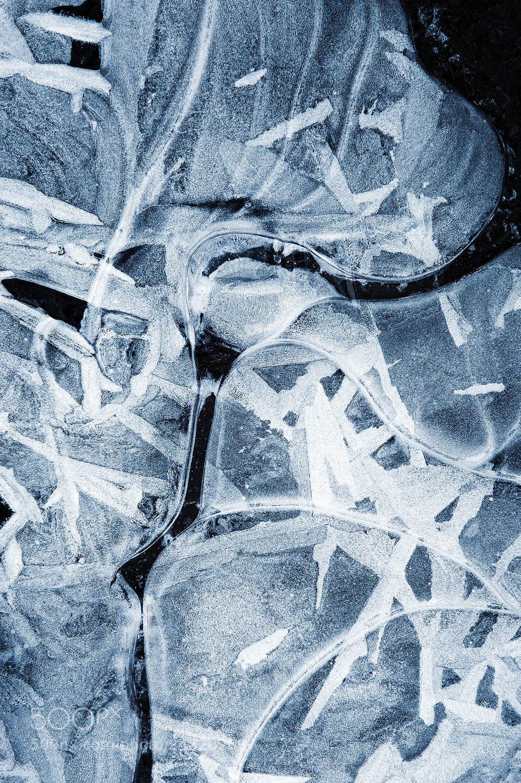 Nikon D5500 sample photo. Abstract frozen water photography